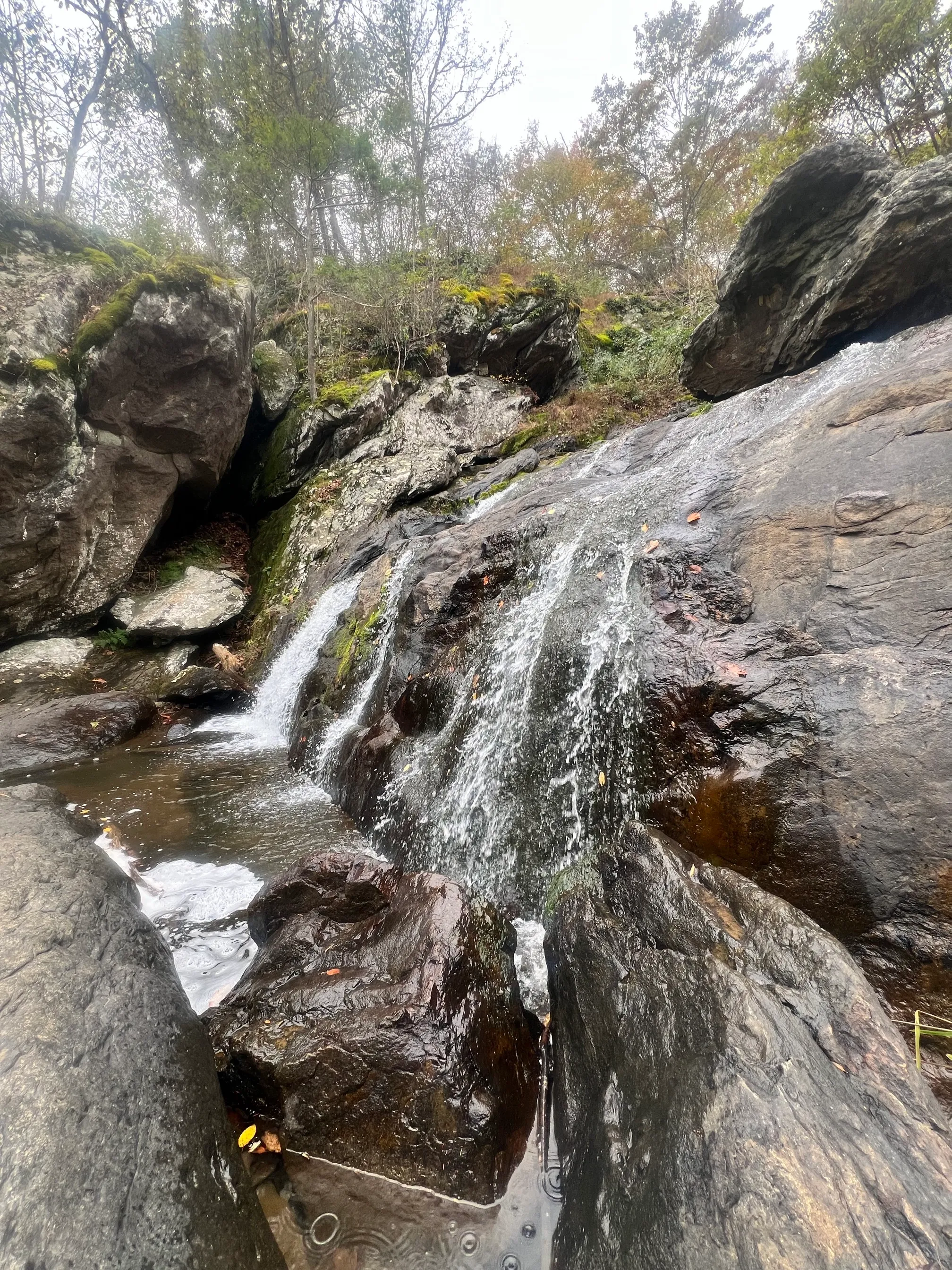 Cunningham Falls via Lower Trail