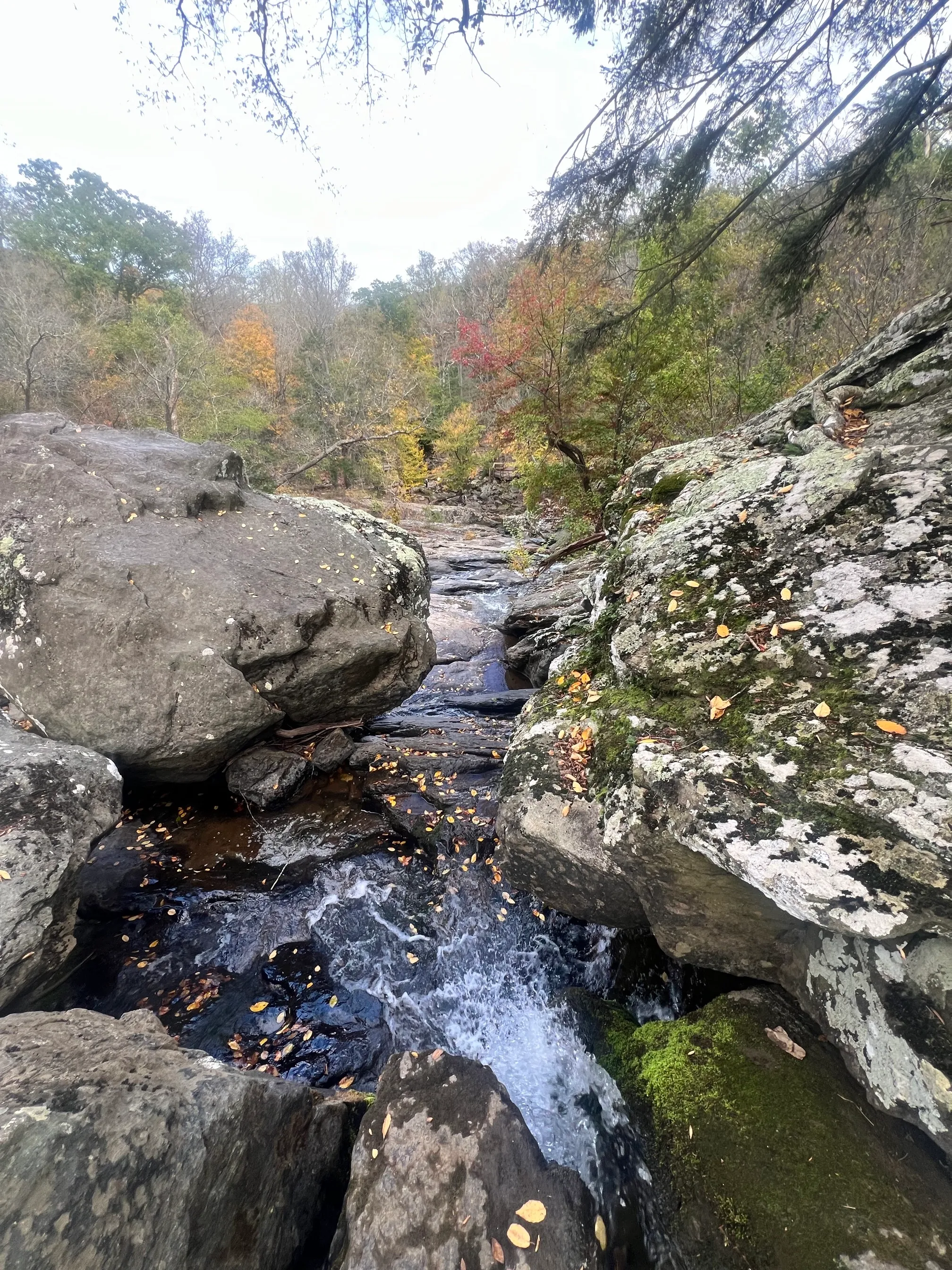 Cunningham Falls via Lower Trail