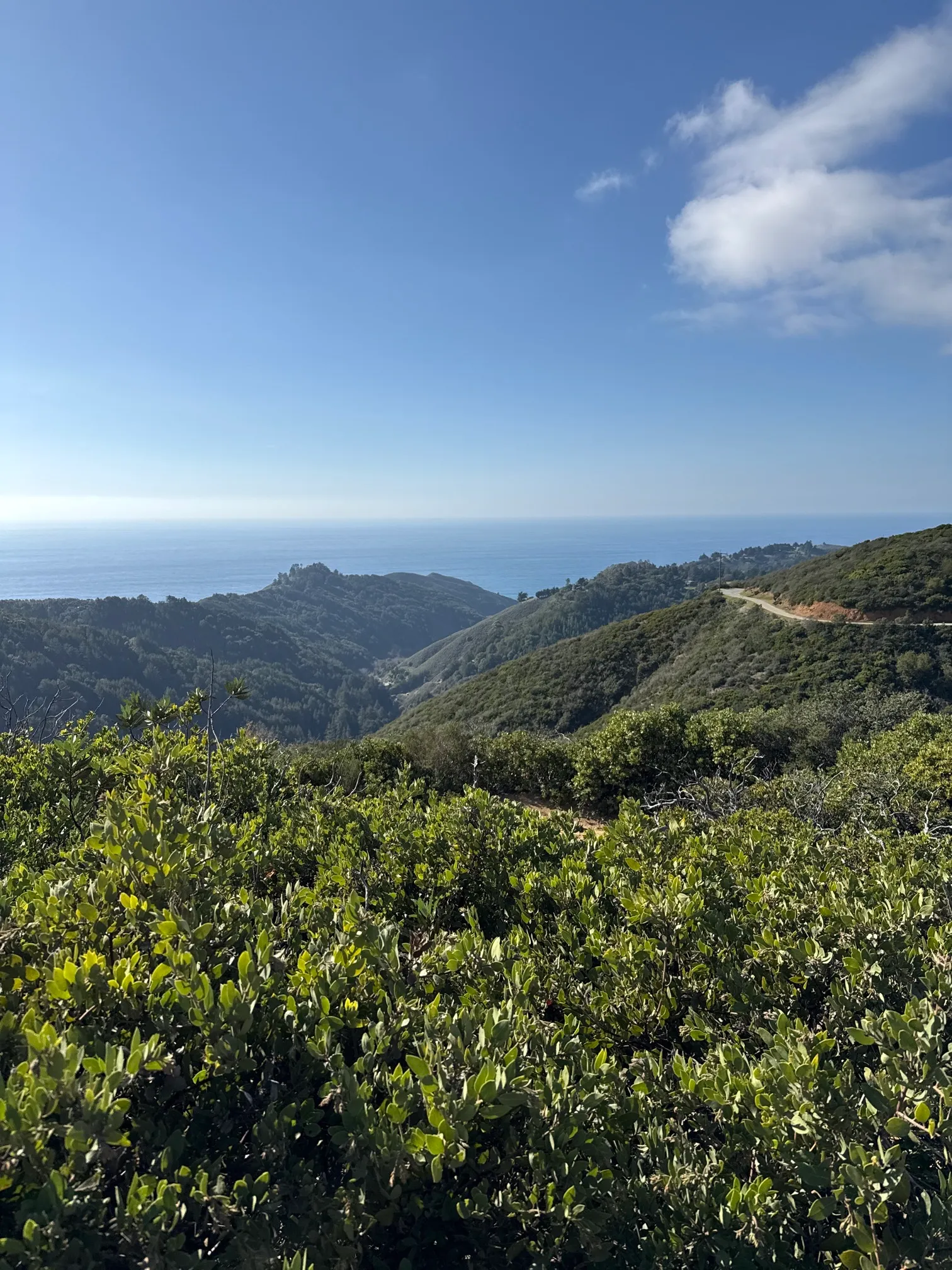 Buzzards Roost Trail