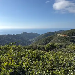 Buzzards Roost Trail