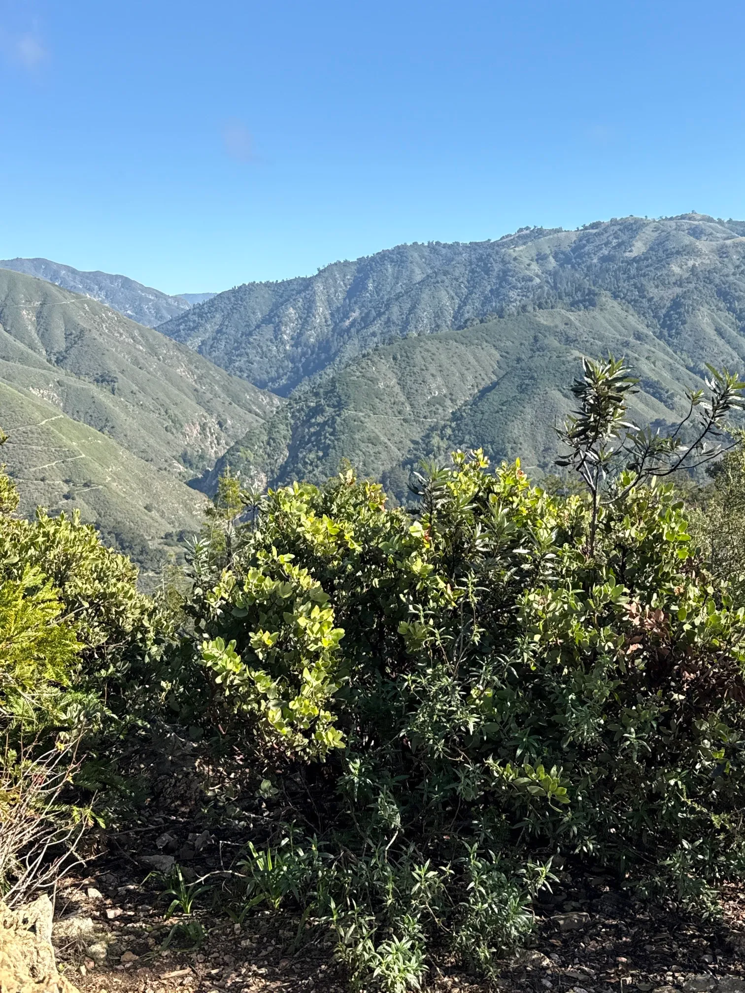Buzzards Roost Trail