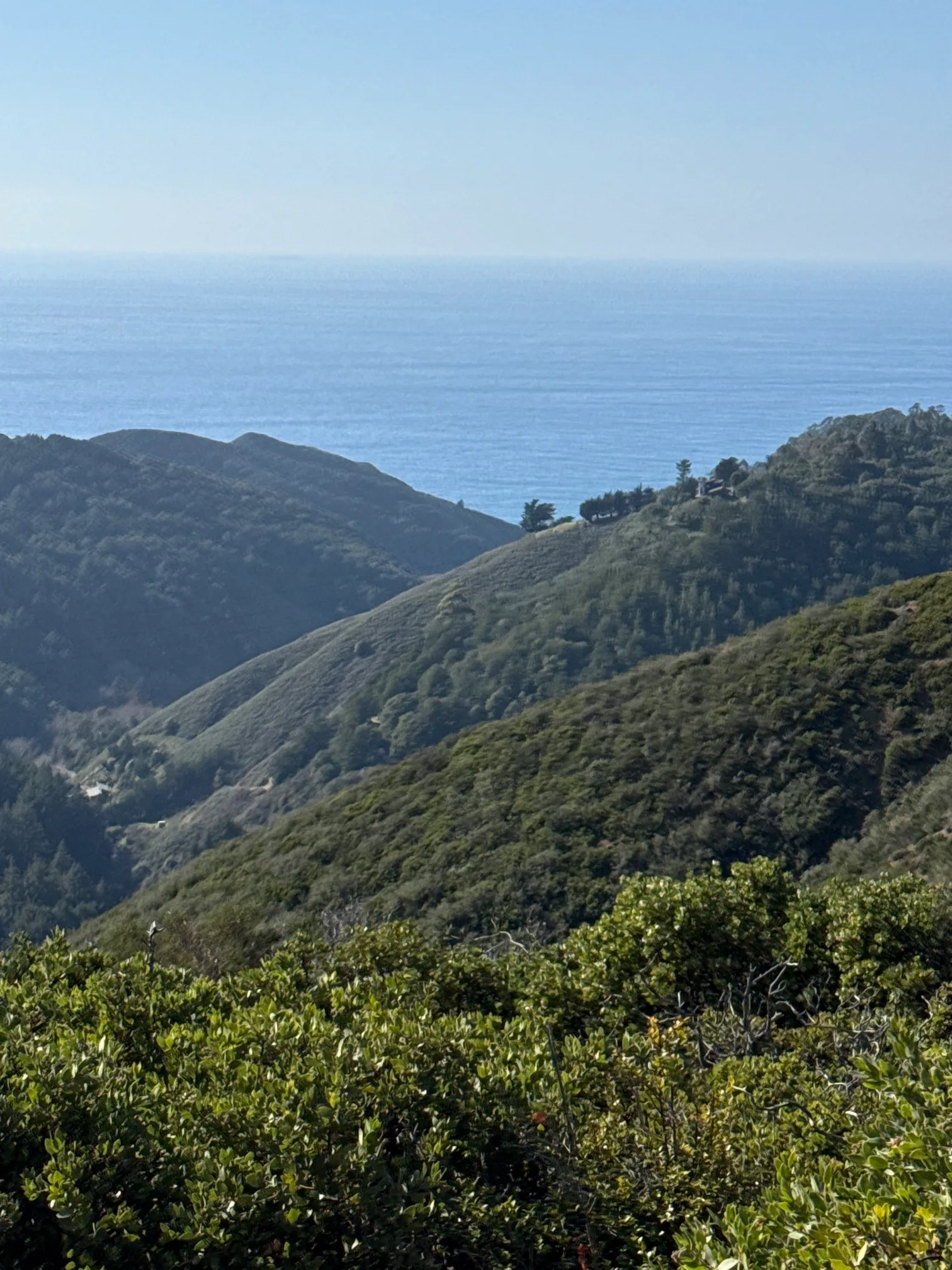 Buzzards Roost Trail