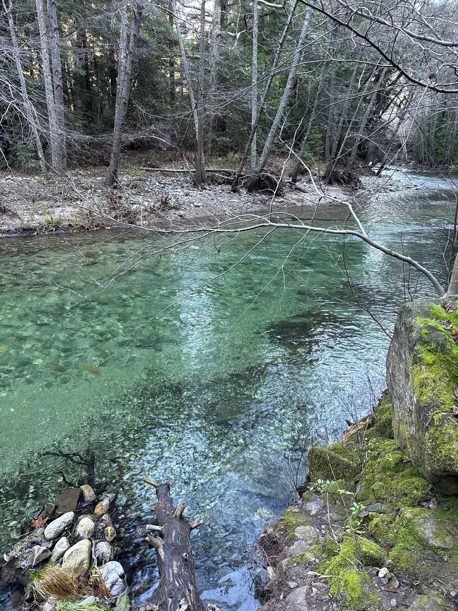 Buzzards Roost Trail