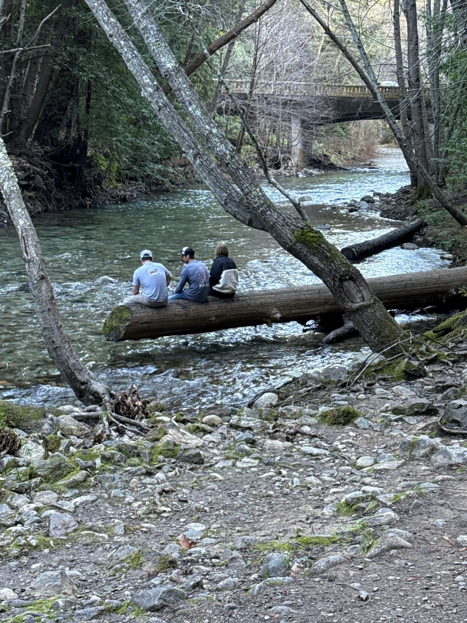 Buzzards Roost Trail