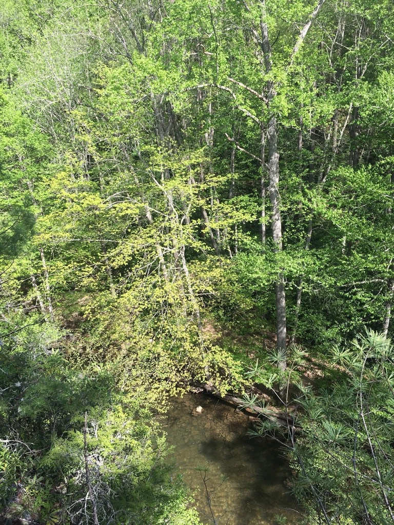 Explore Backbone Rock and Falls