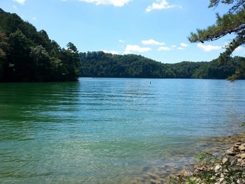 Explore the South Holston Dam