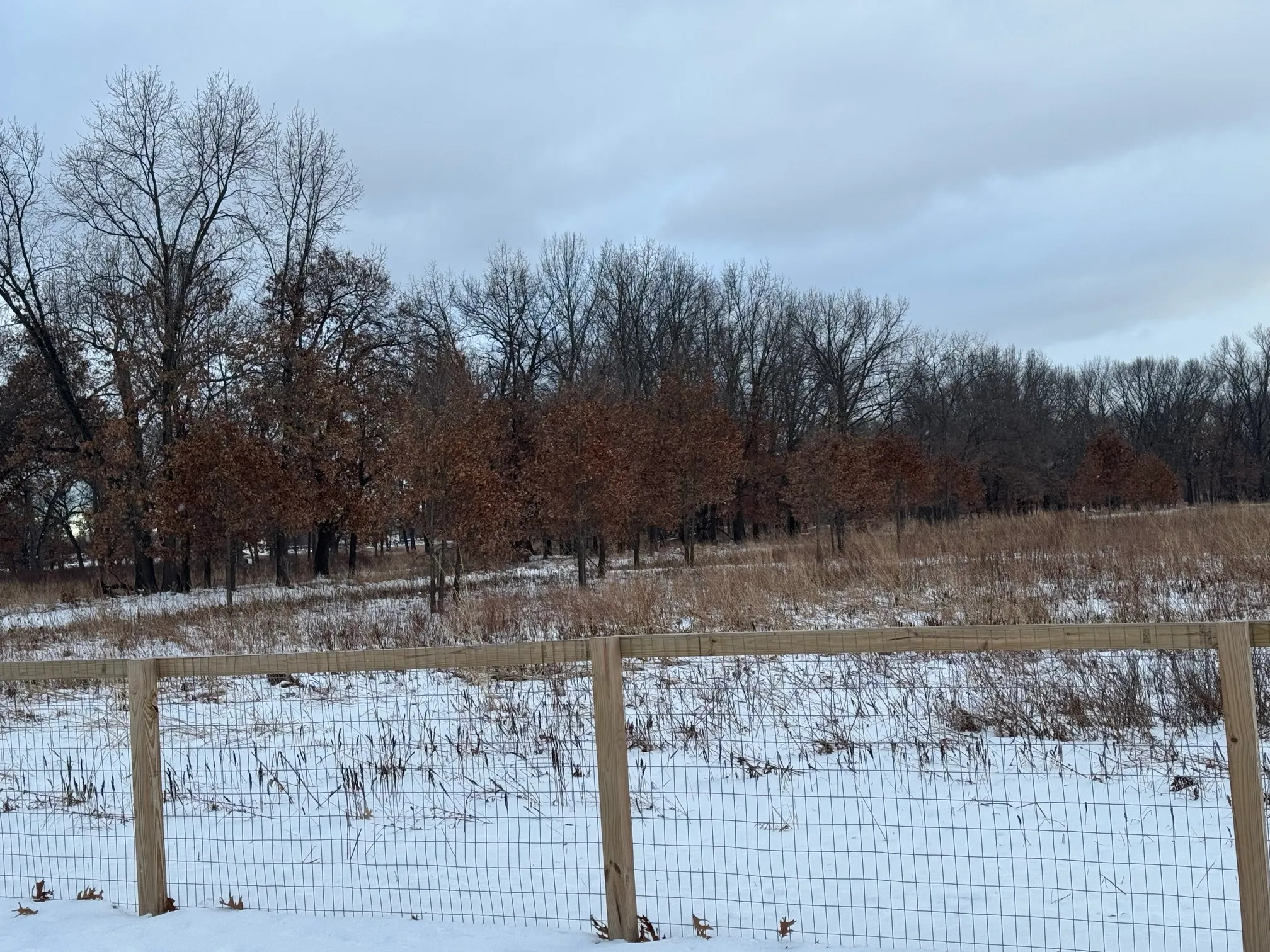 Hike Hoosier Prairie Nature Preserve