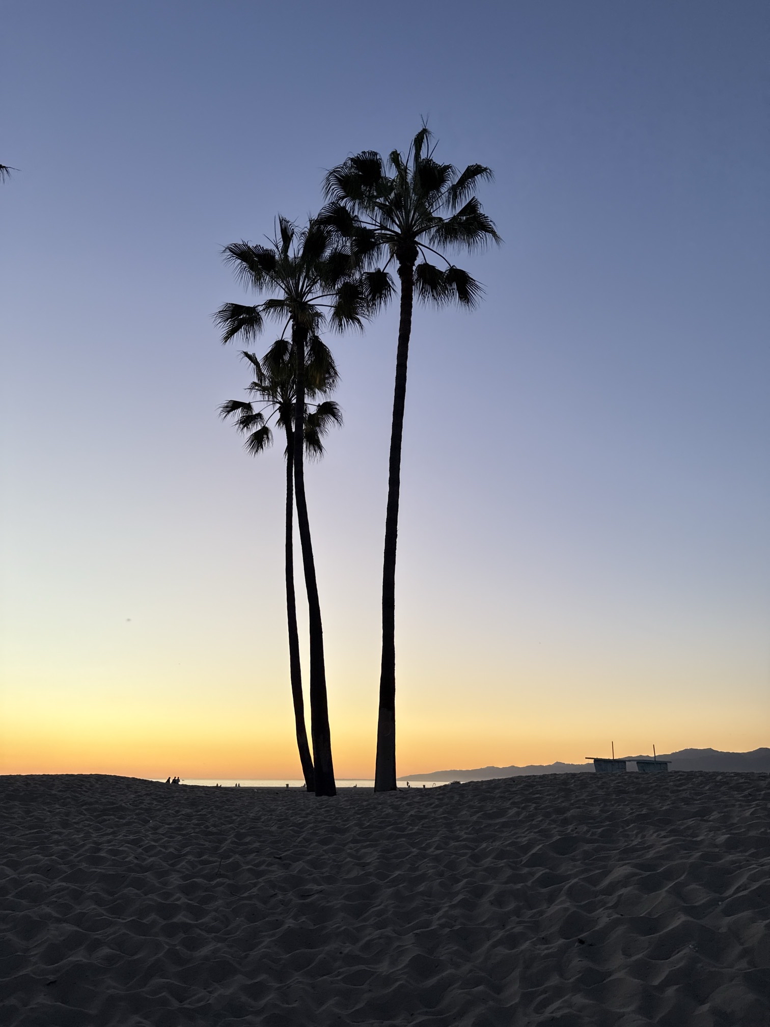 Venice Beach