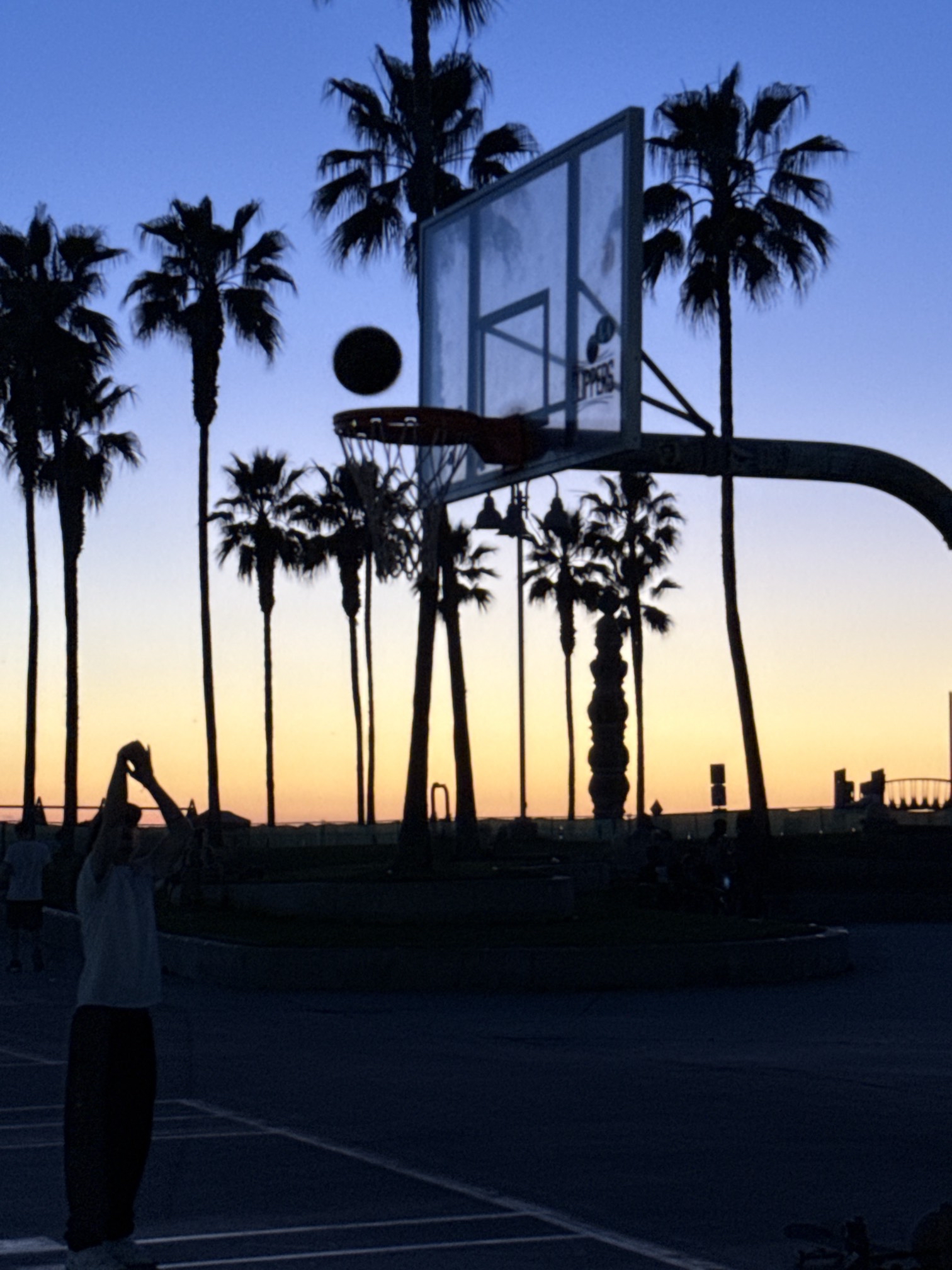 Venice Beach