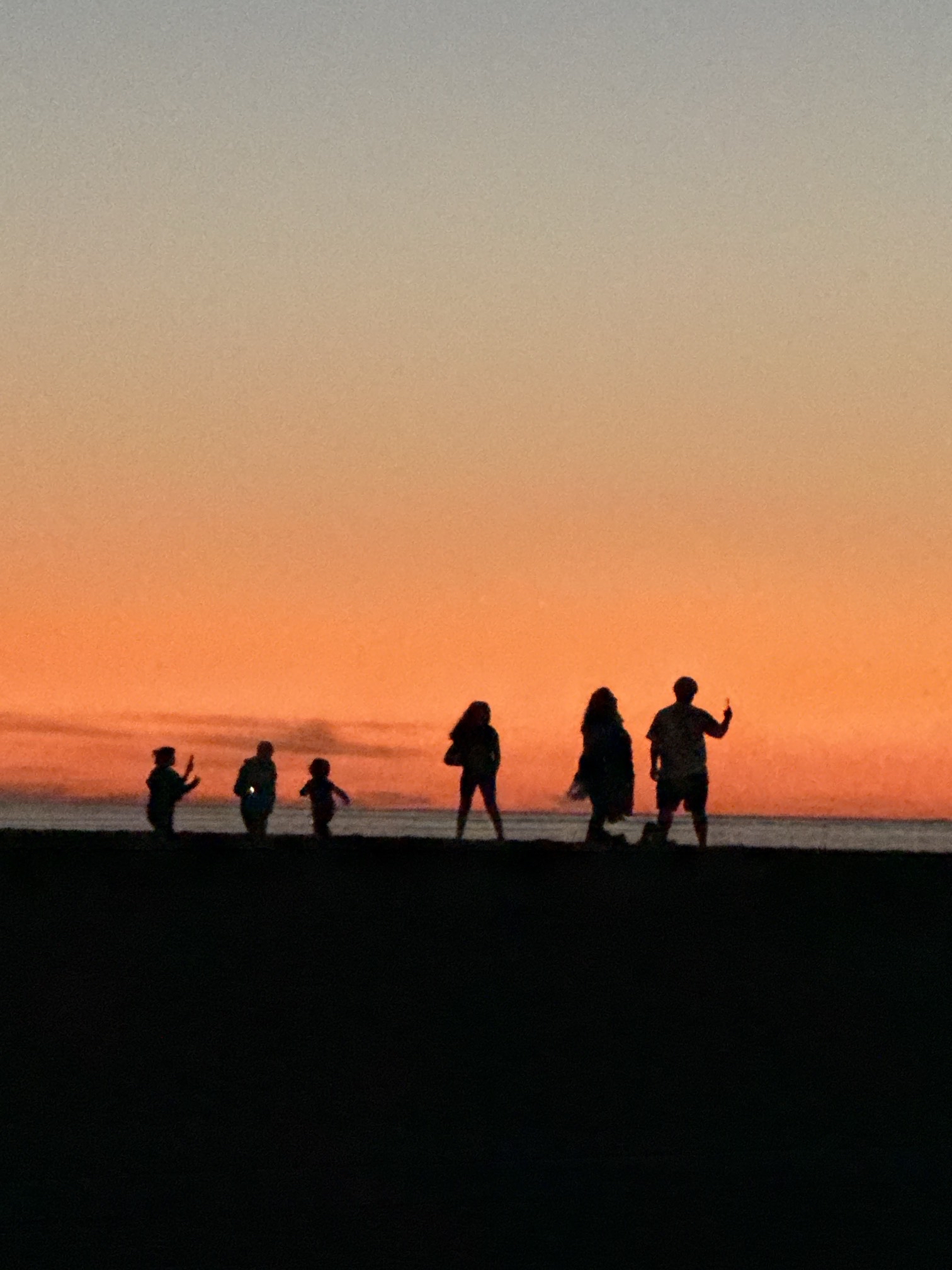 Venice Beach