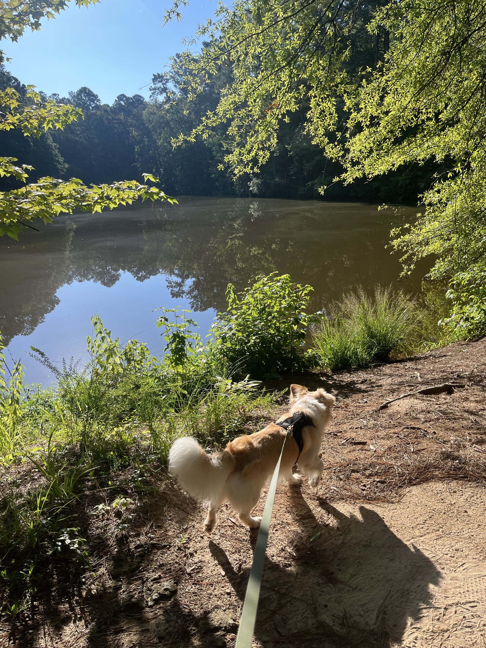 Blanchard Woods Cross Country Trail