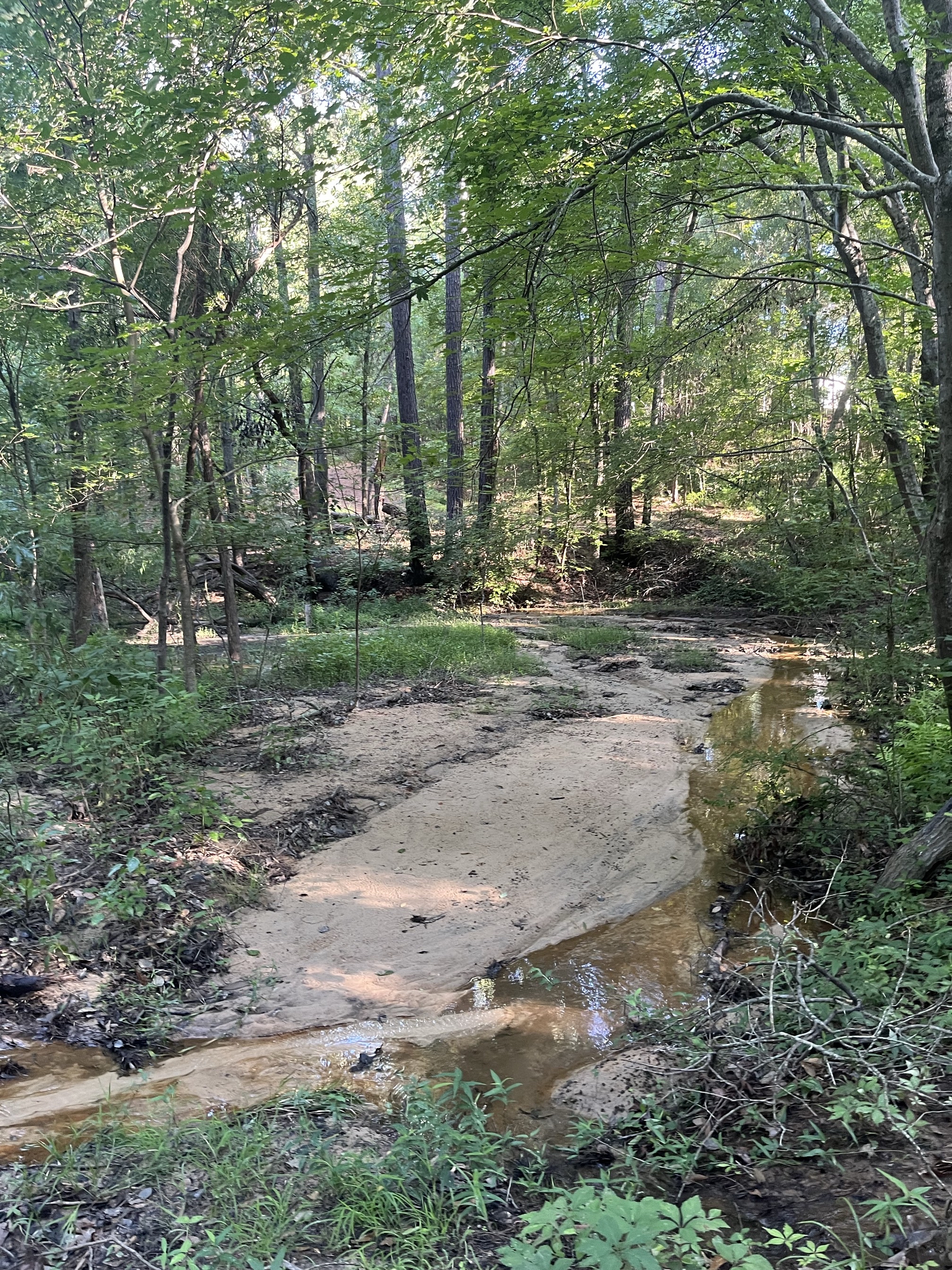 Blanchard Woods Cross Country Trail