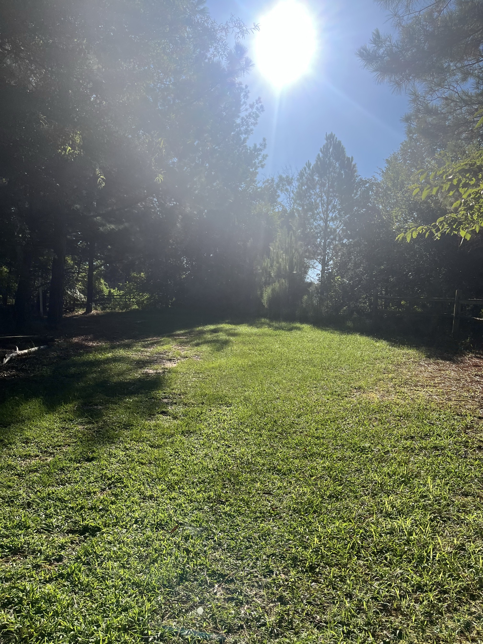 Blanchard Woods Cross Country Trail