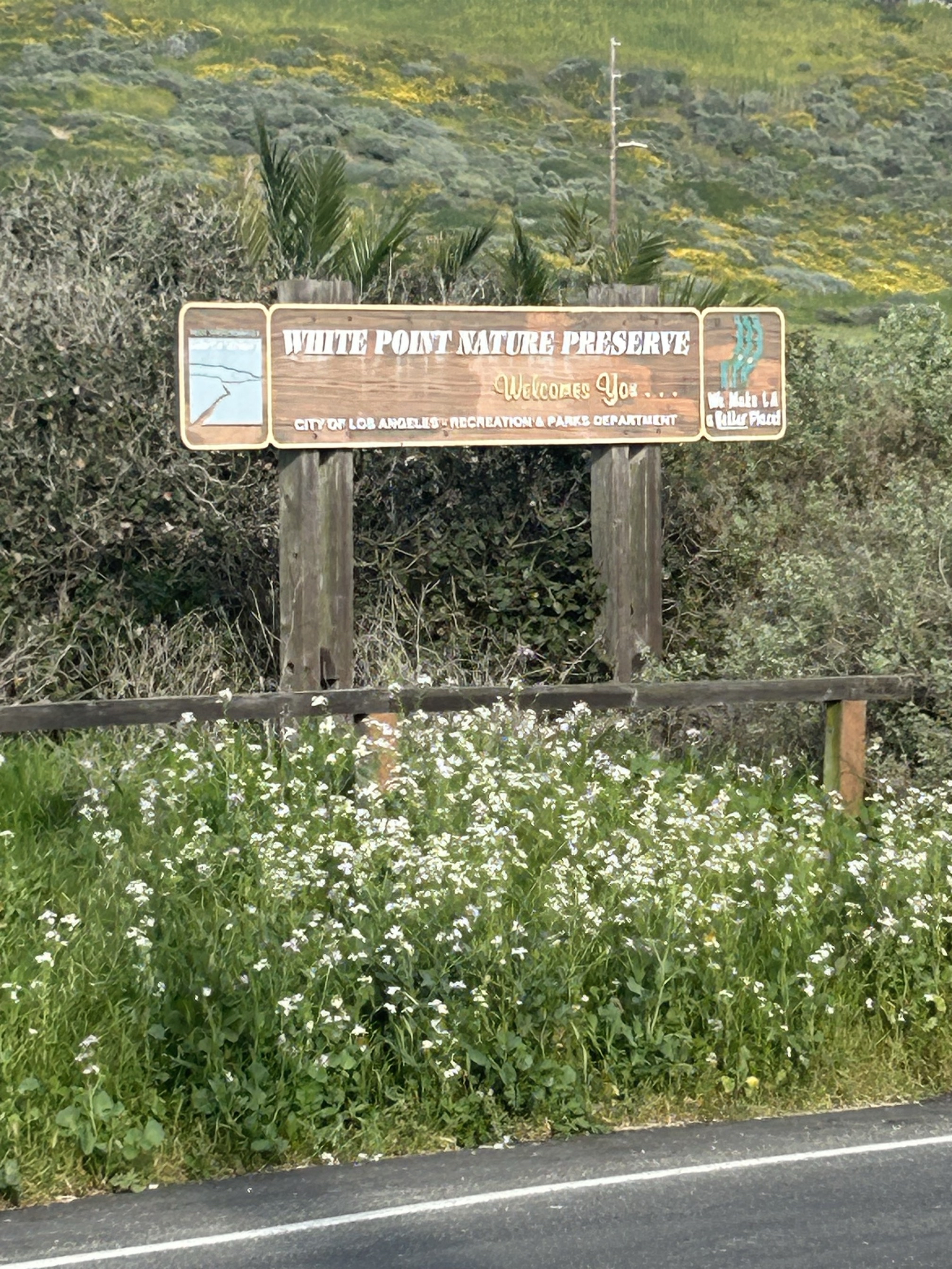 White Point Trail