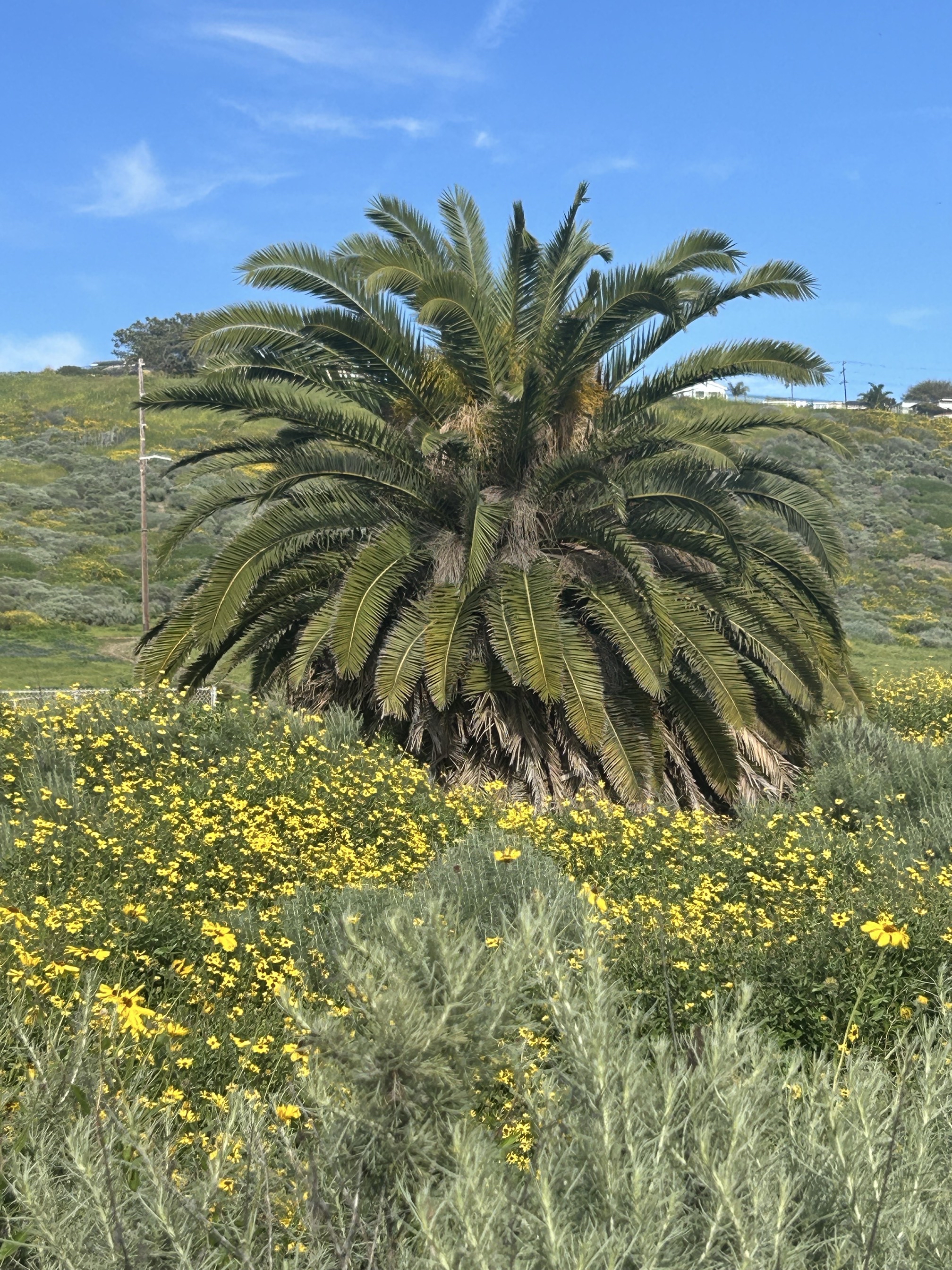 White Point Trail