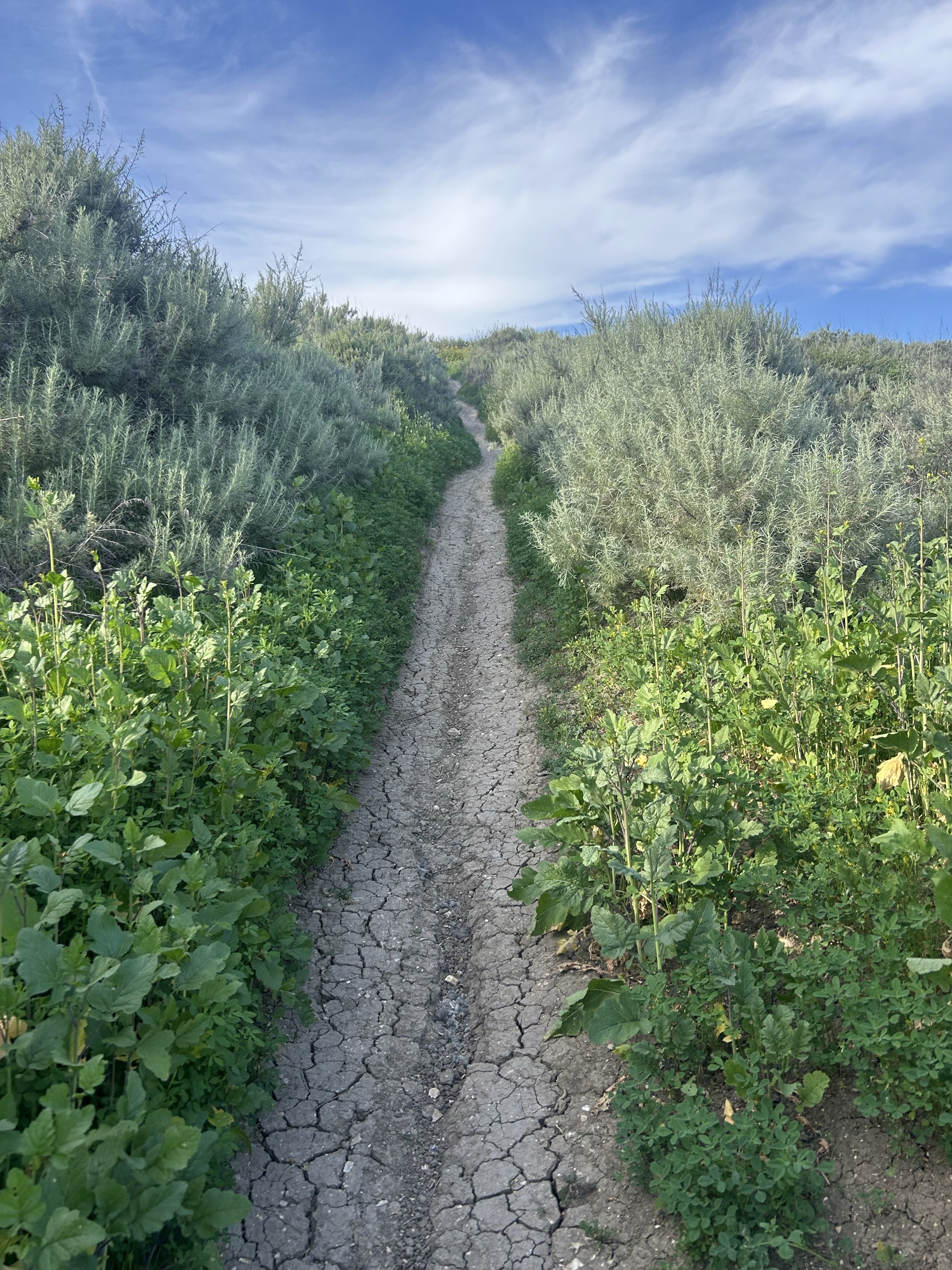 White Point Trail