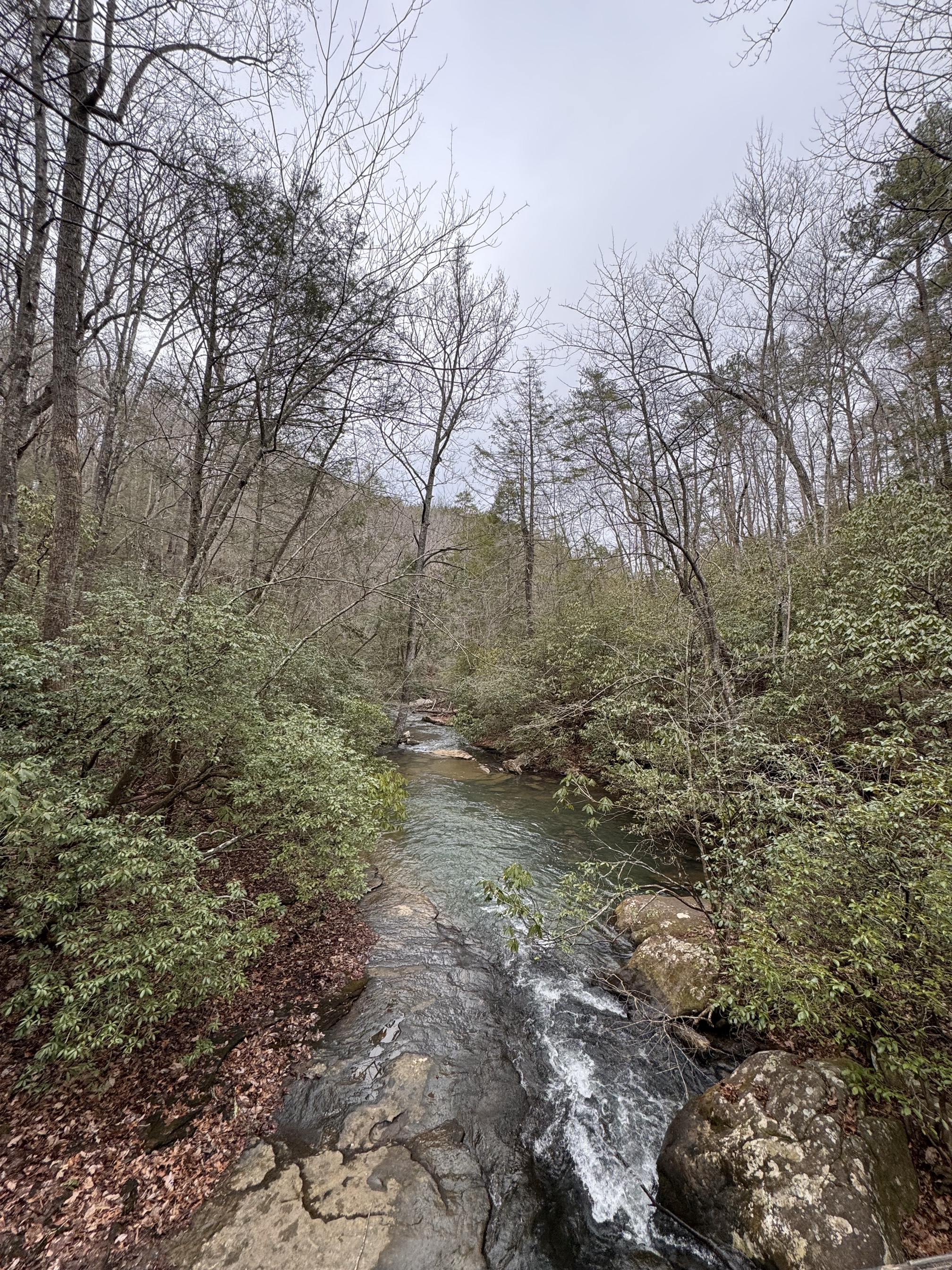 Hike the West Rim Trail to Cherokee Falls 