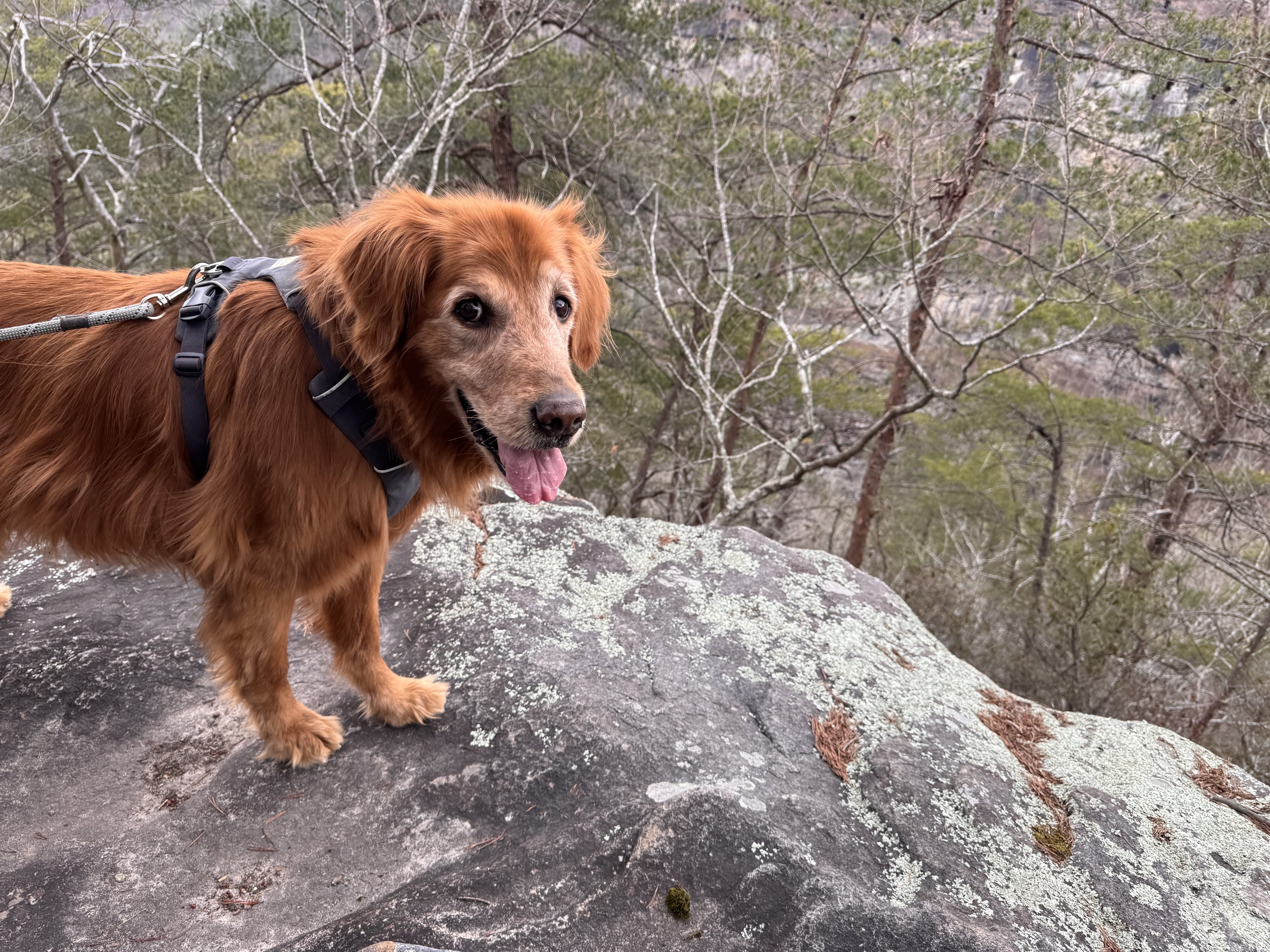 Hike the West Rim Trail to Cherokee Falls 