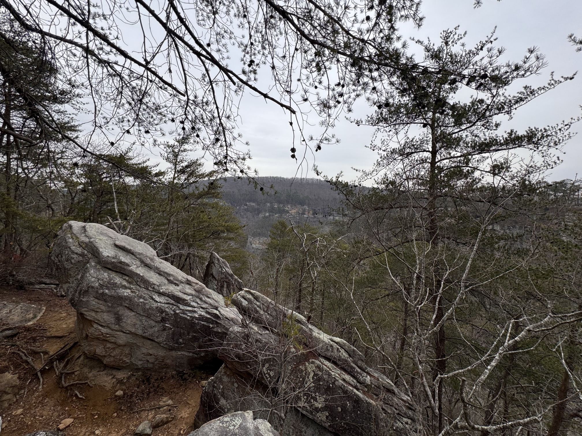 Hike the West Rim Trail to Cherokee Falls 