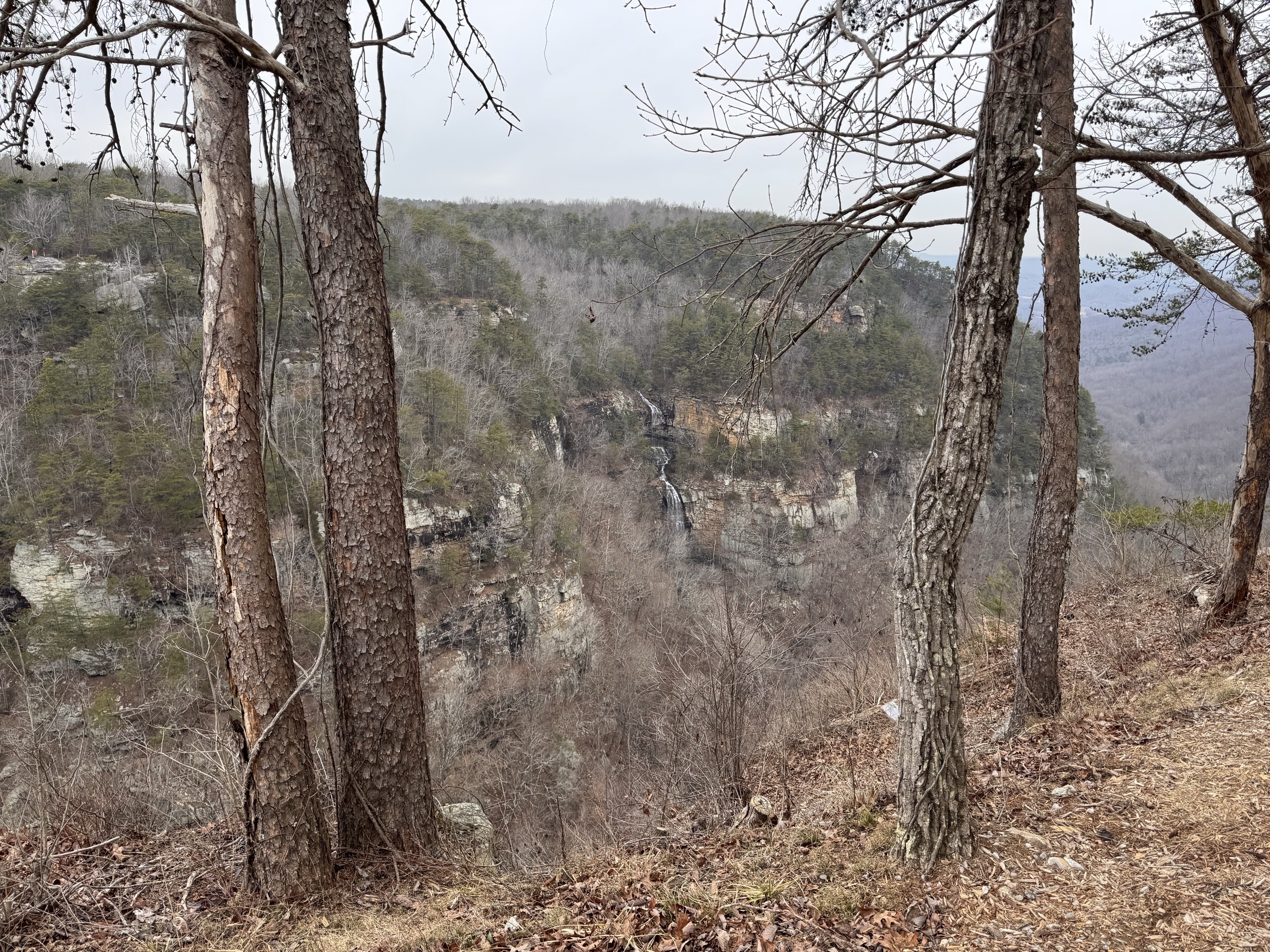 Hike the West Rim Trail to Cherokee Falls 