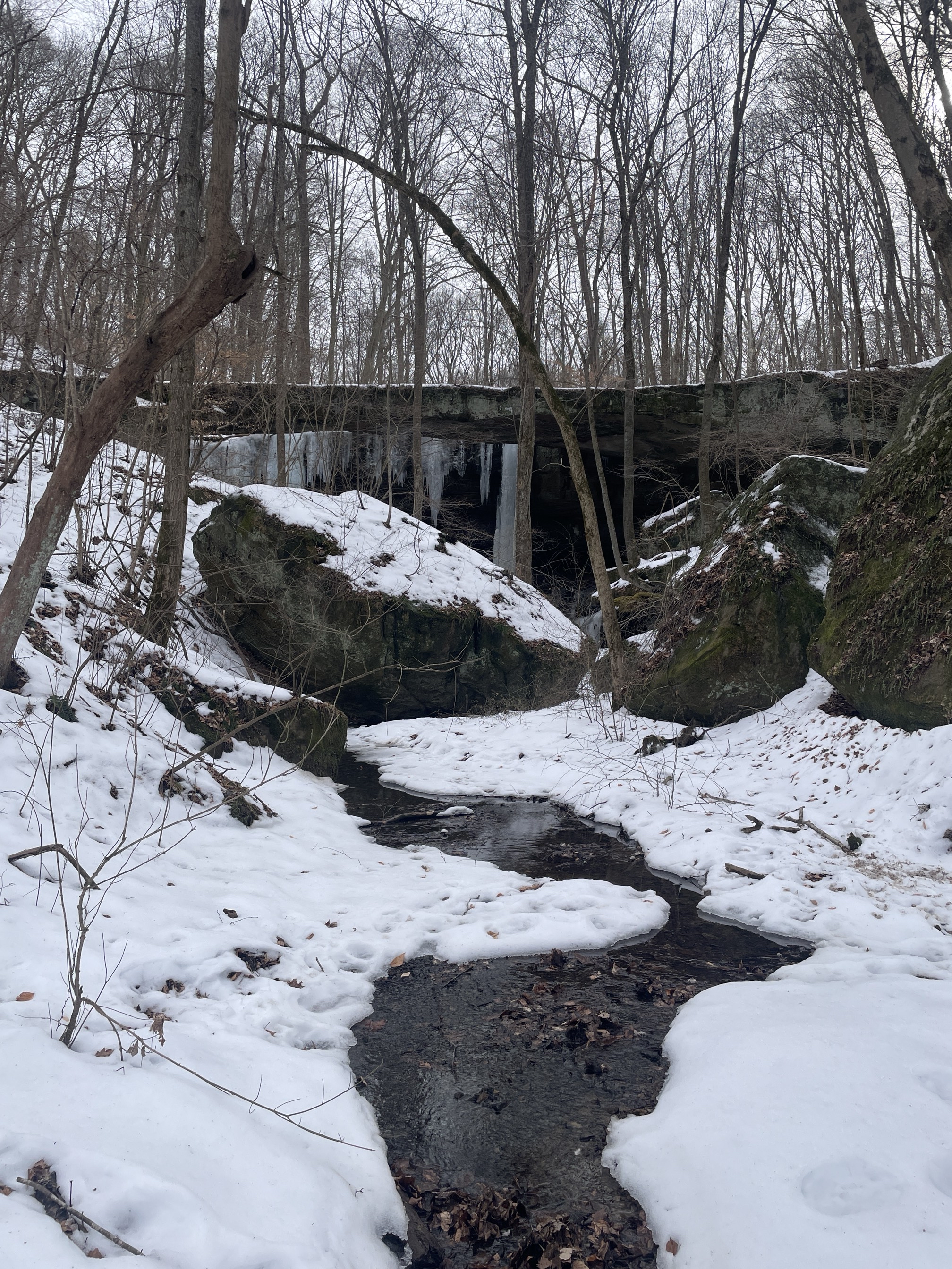 Natural Bridge Trail and Rock Shelter Trail Loop