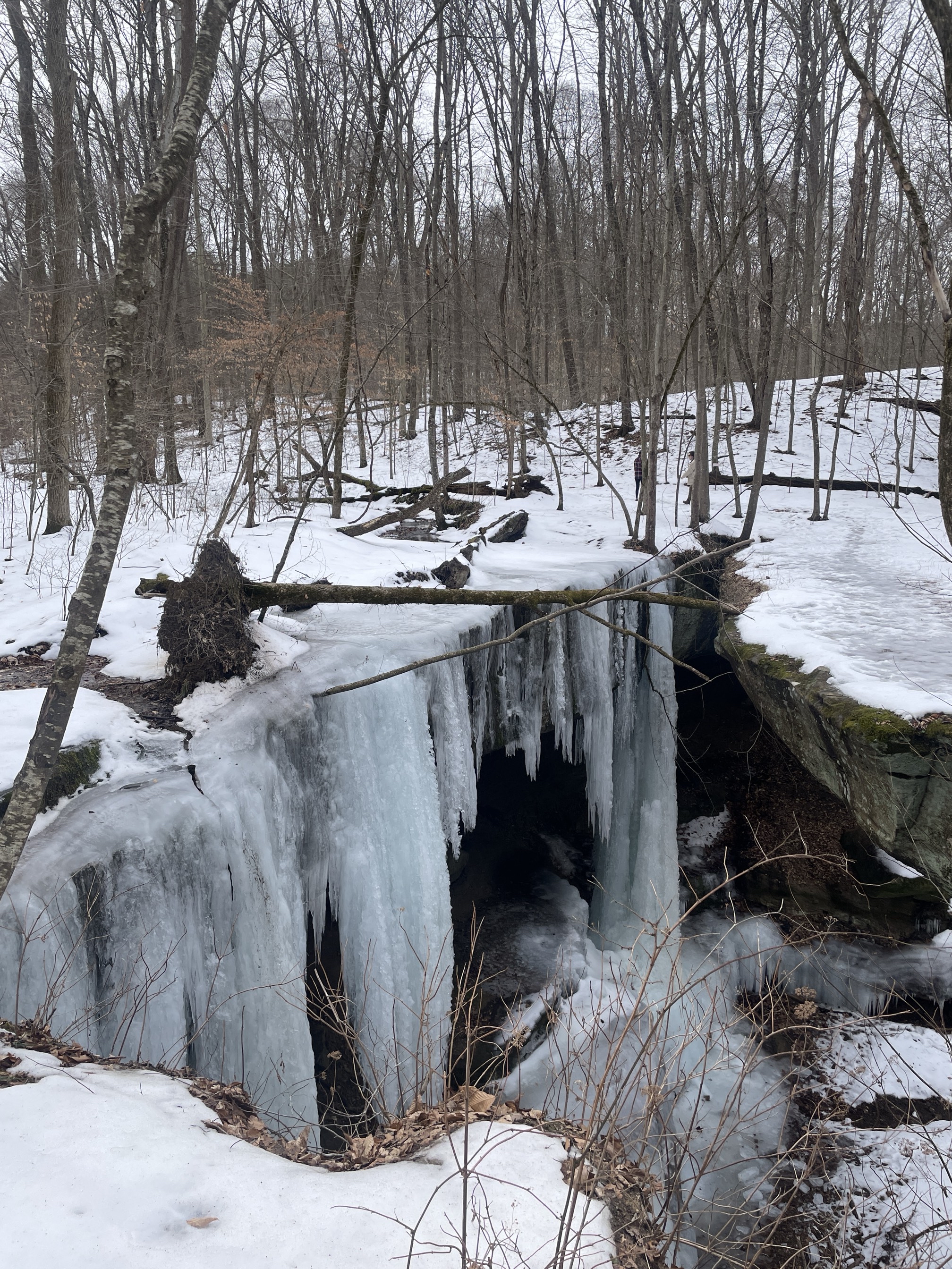 Natural Bridge Trail and Rock Shelter Trail Loop