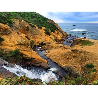 Alamere Falls via Palomarin Trailhead 