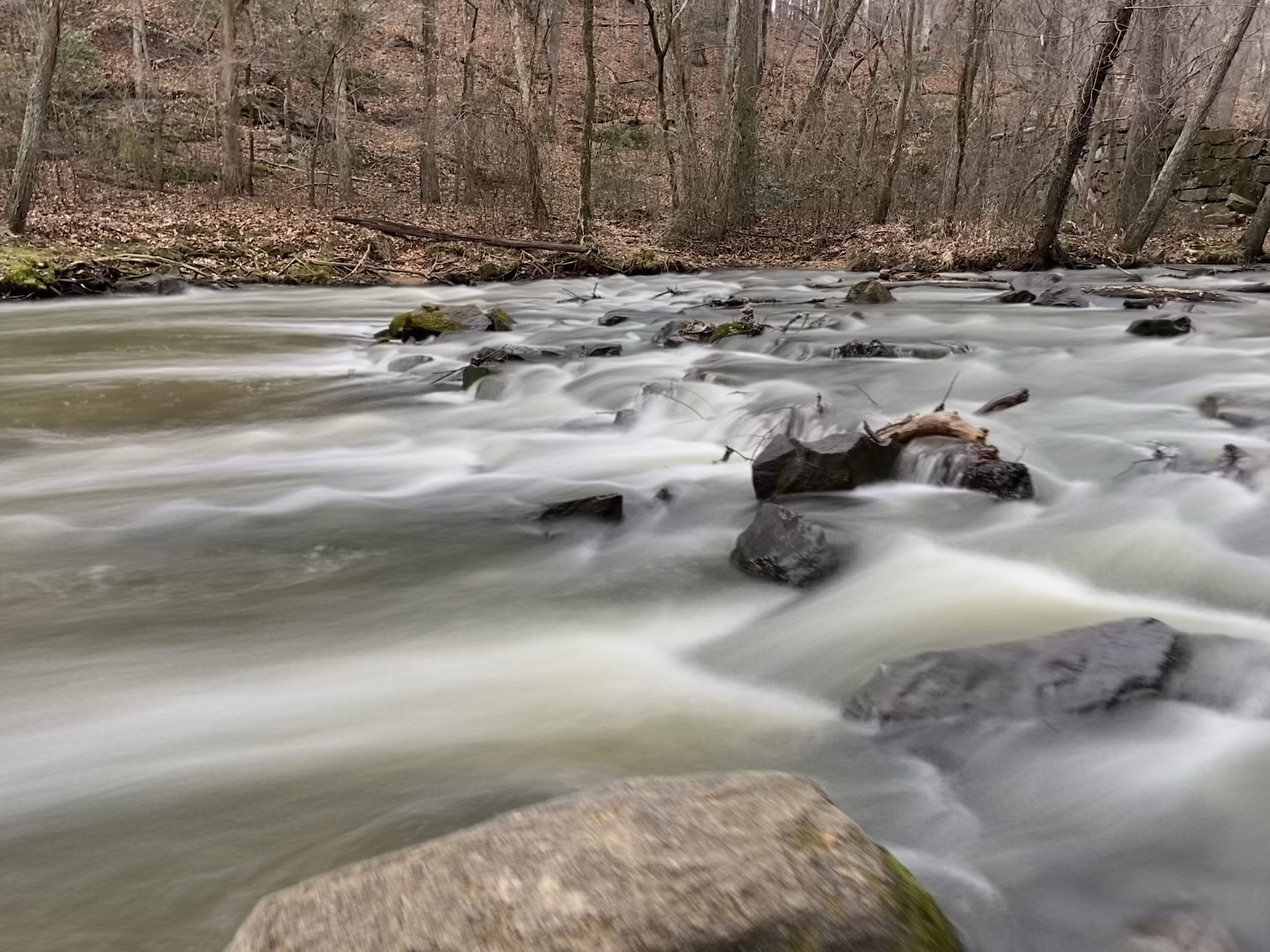 Company Mill Trail
