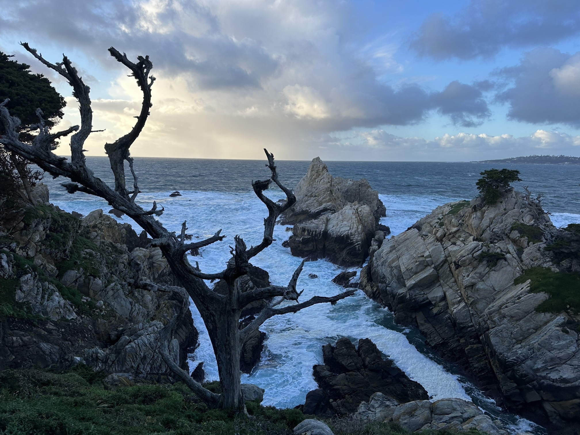 Point Lobos Natural Preserve Loop