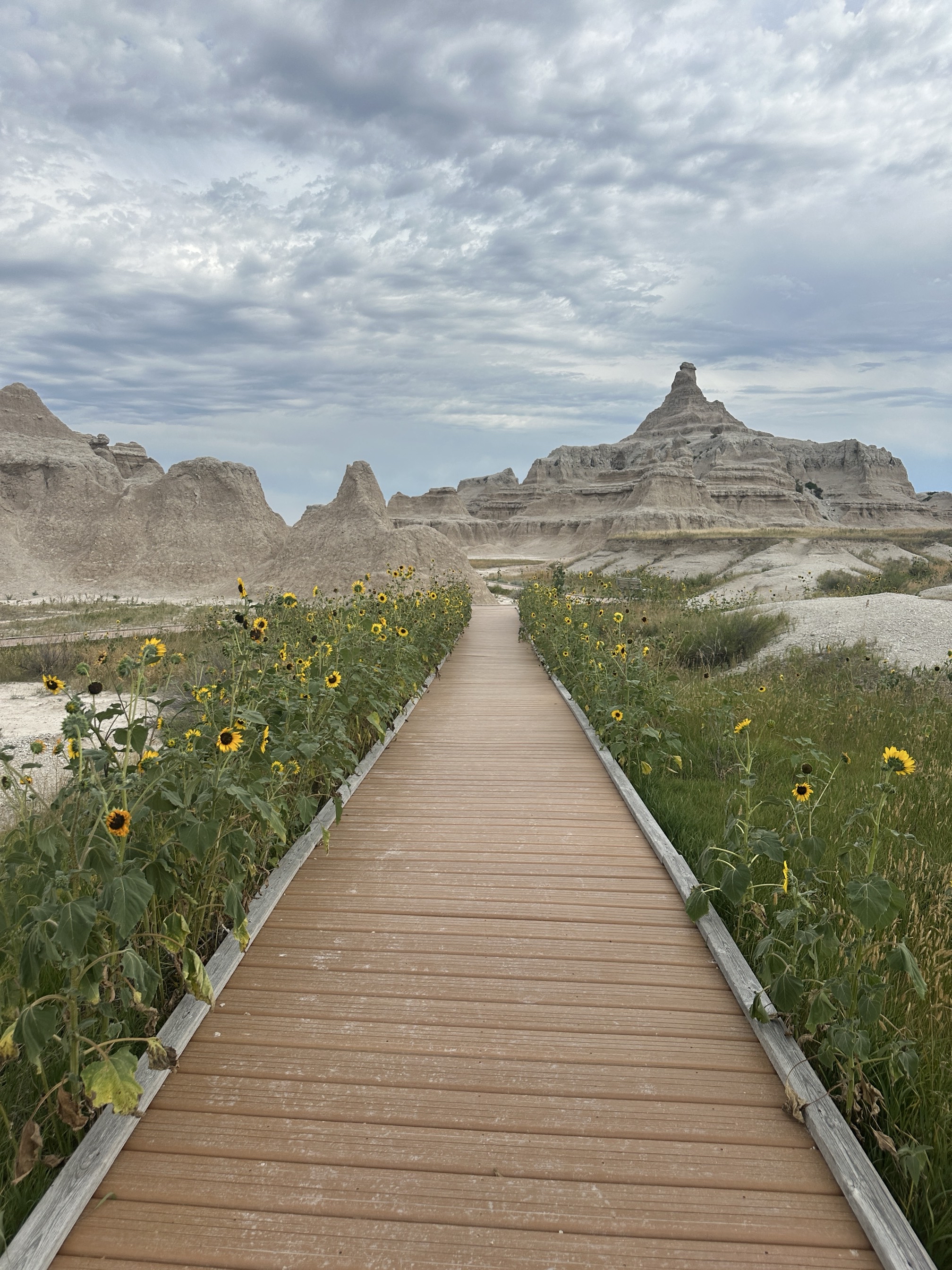 Notch Trail 