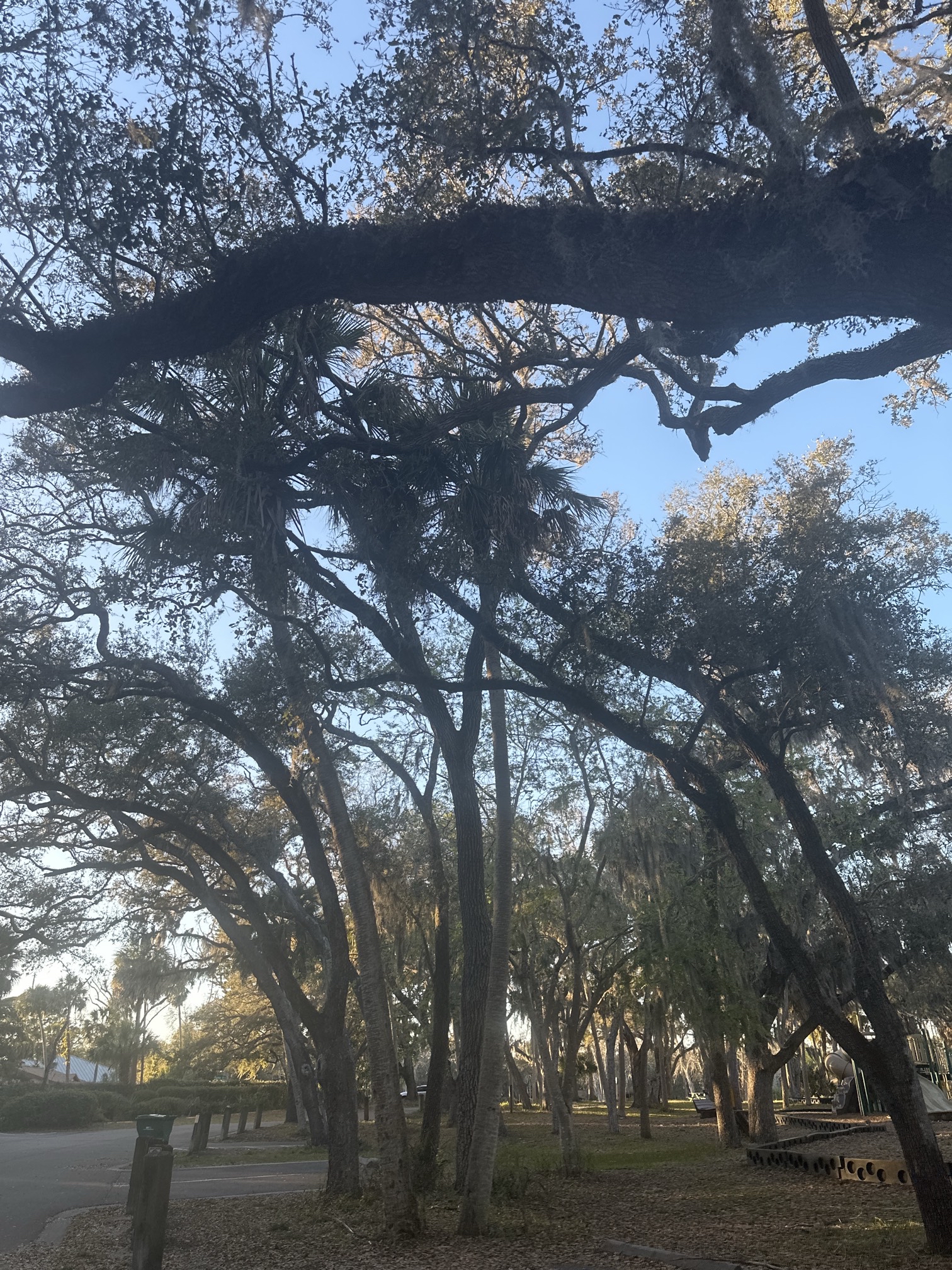 Philippe Park Trail
