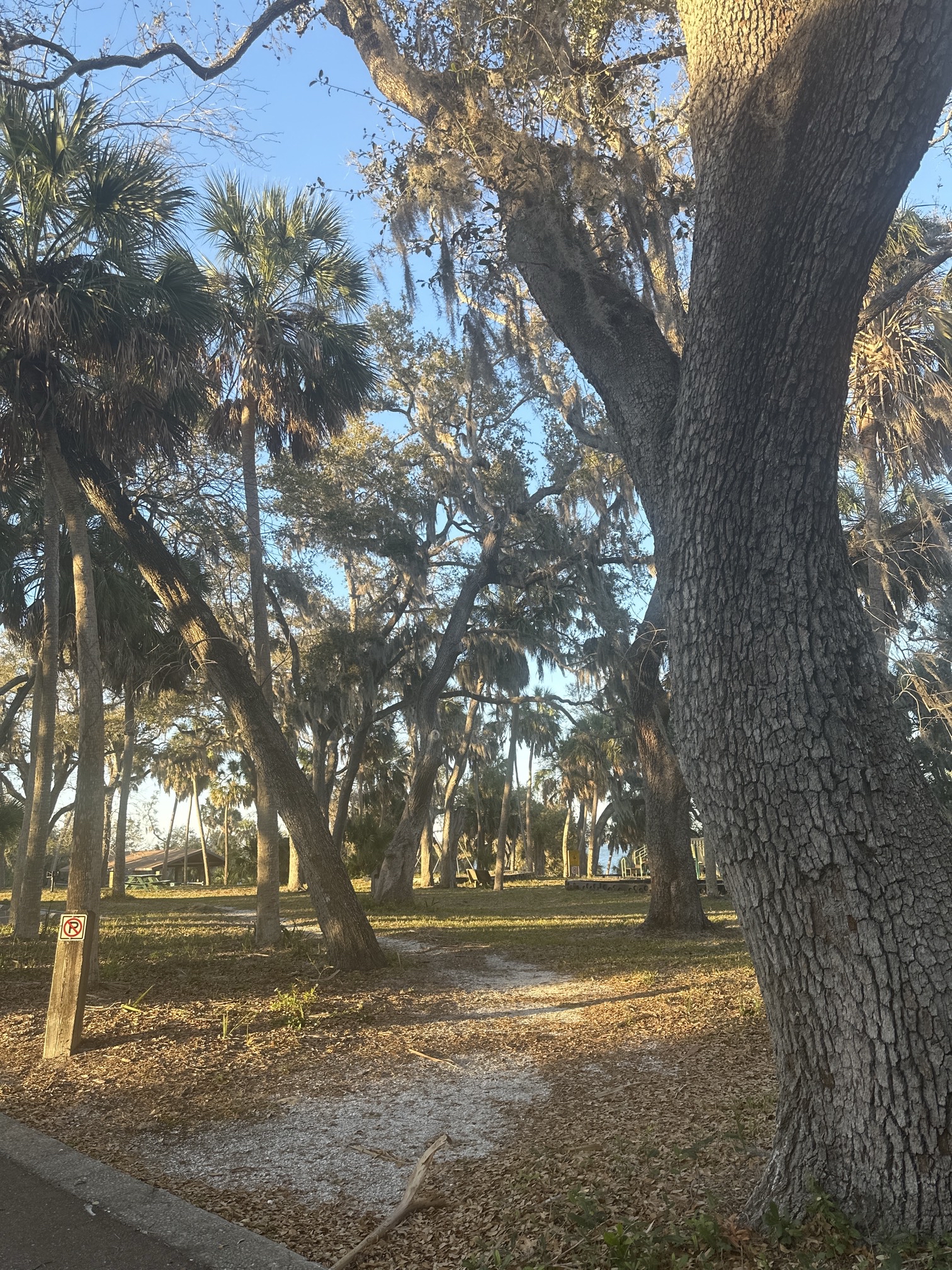 Philippe Park Trail