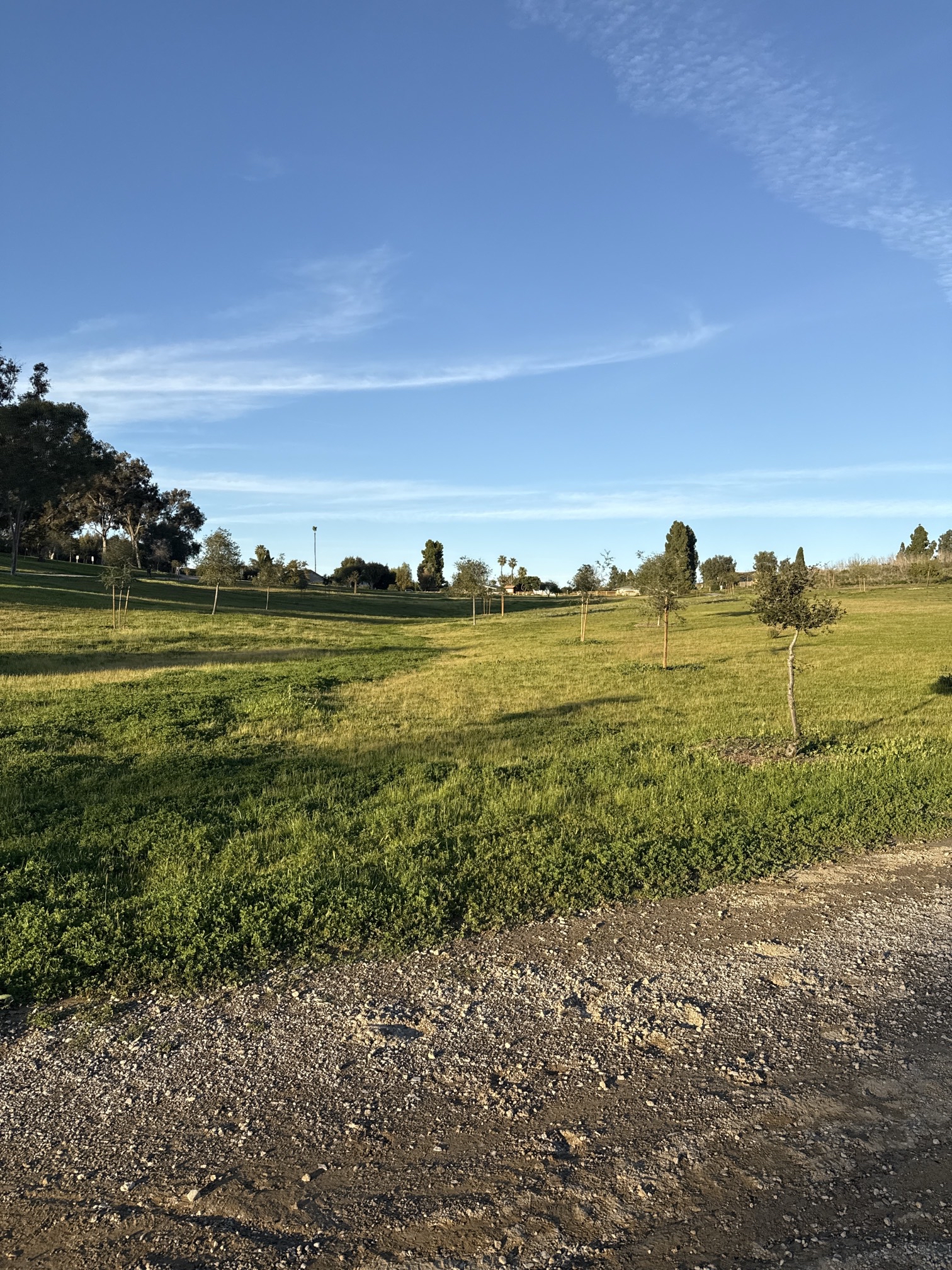 Guajome Regional Park Trail