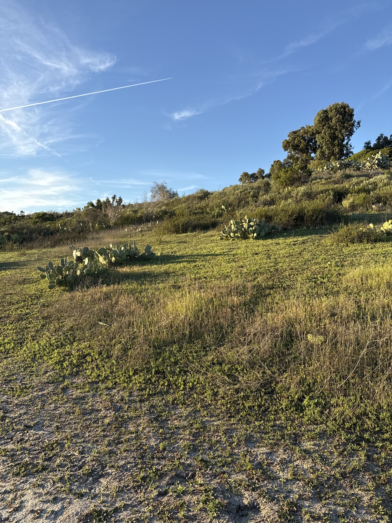 Guajome Regional Park Trail