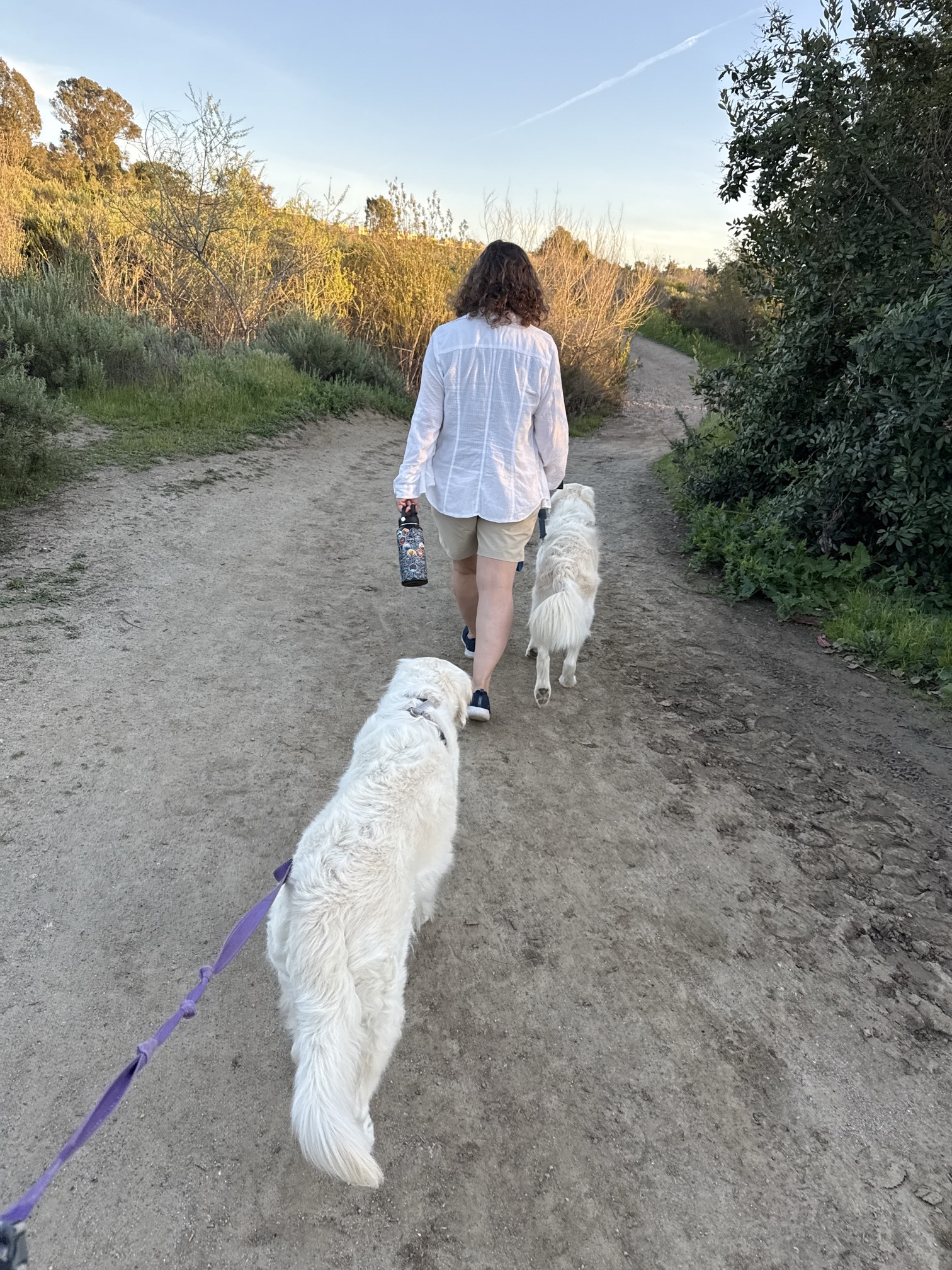 Guajome Regional Park Trail