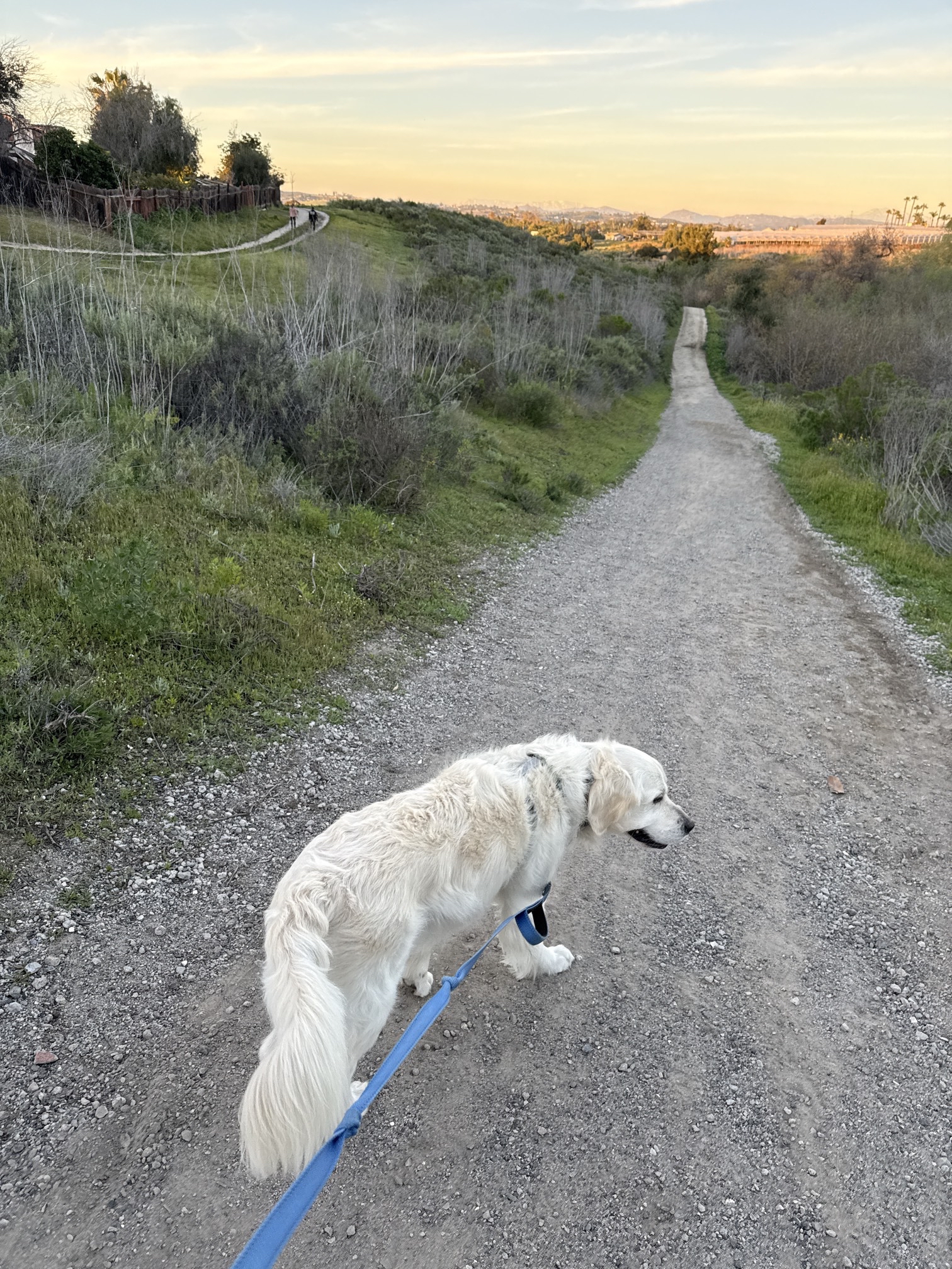 Guajome Regional Park Trail