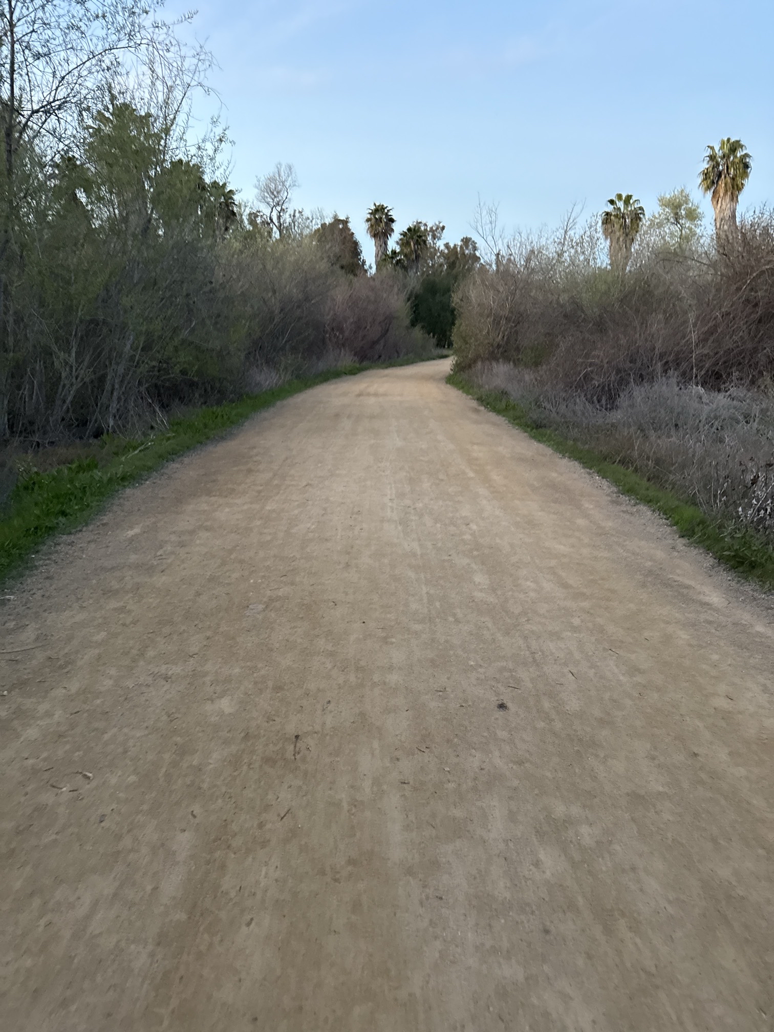 Guajome Regional Park Trail