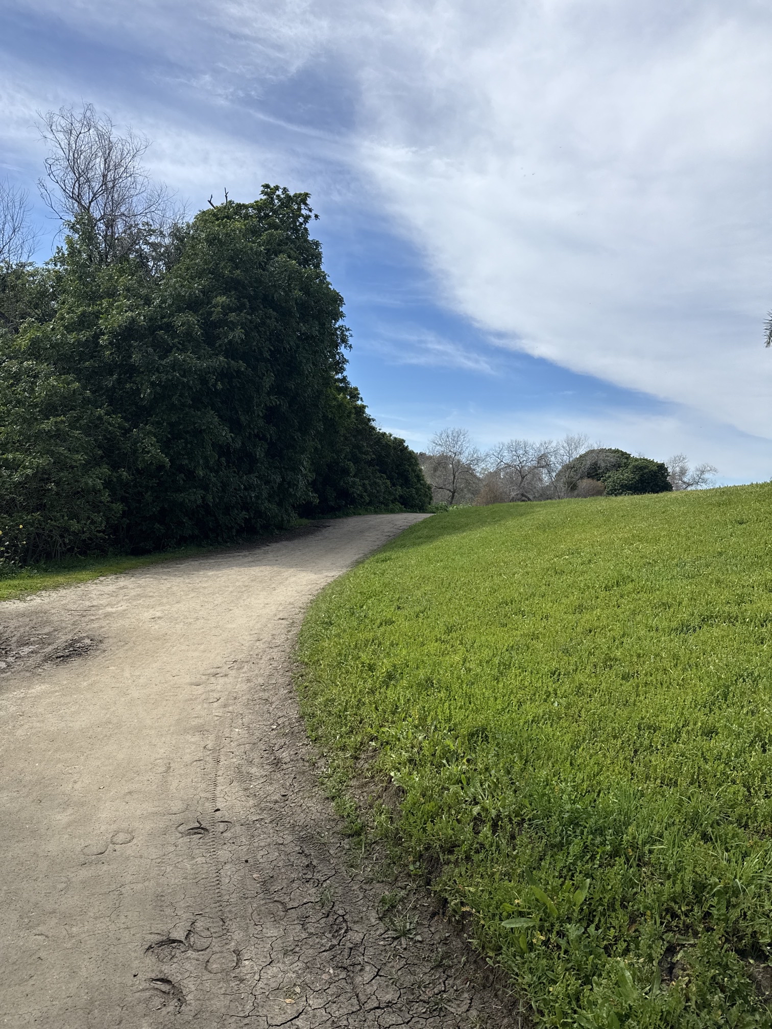 Guajome Regional Park Trail