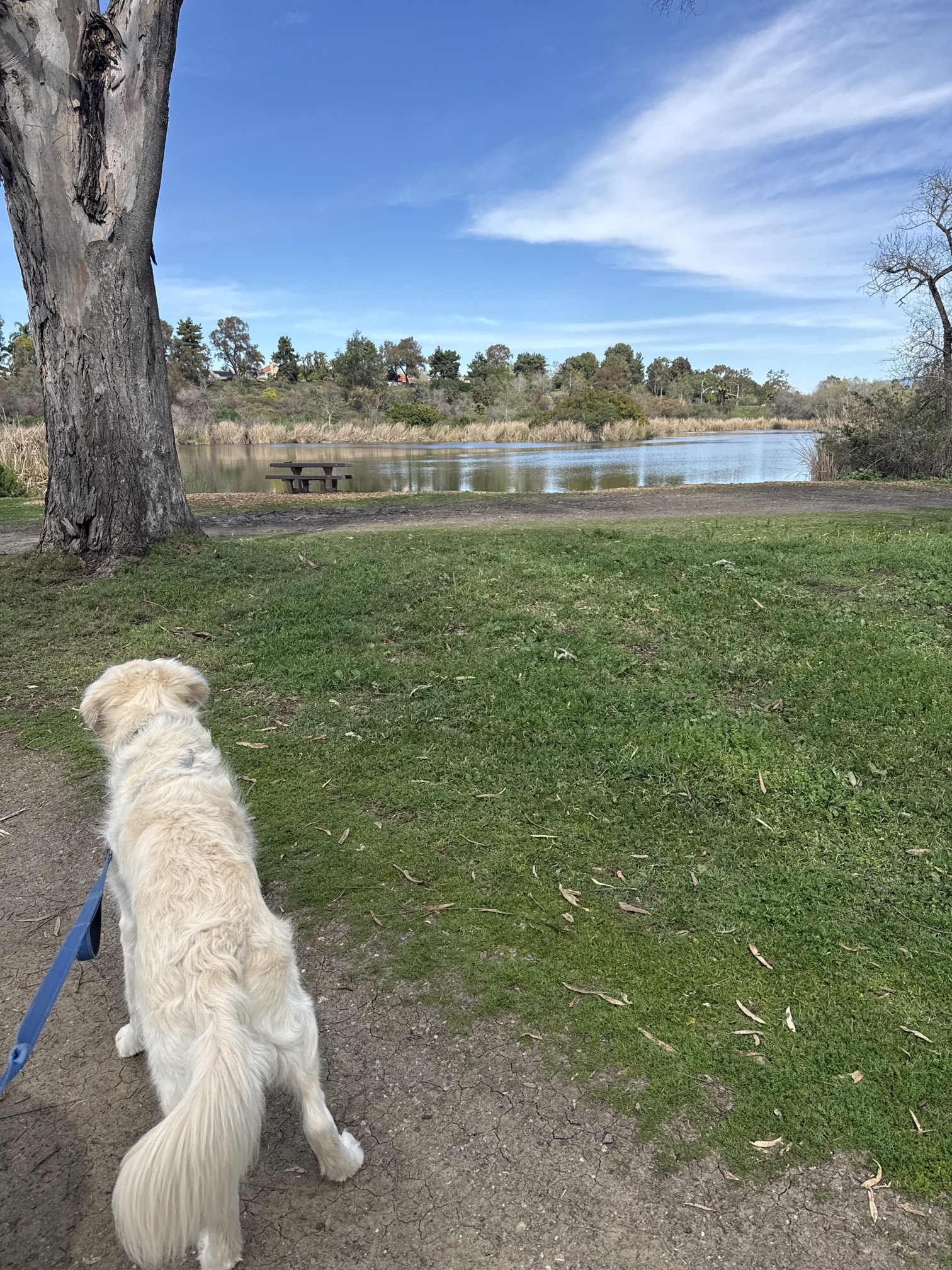 Guajome Regional Park Trail
