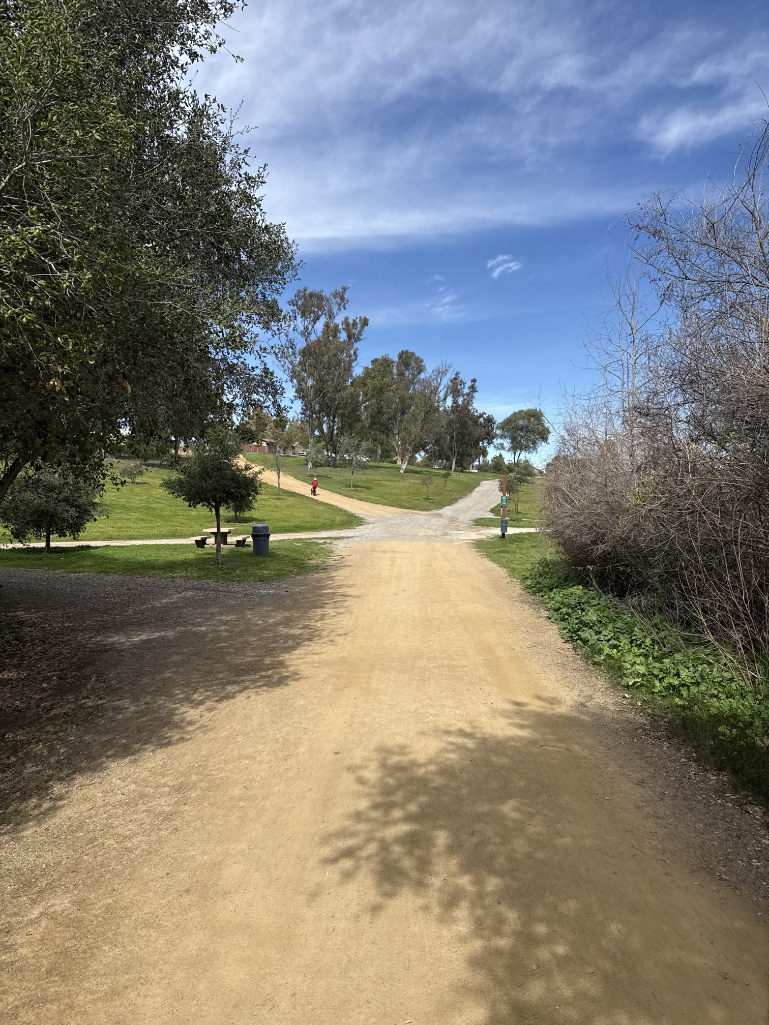 Guajome Regional Park Trail