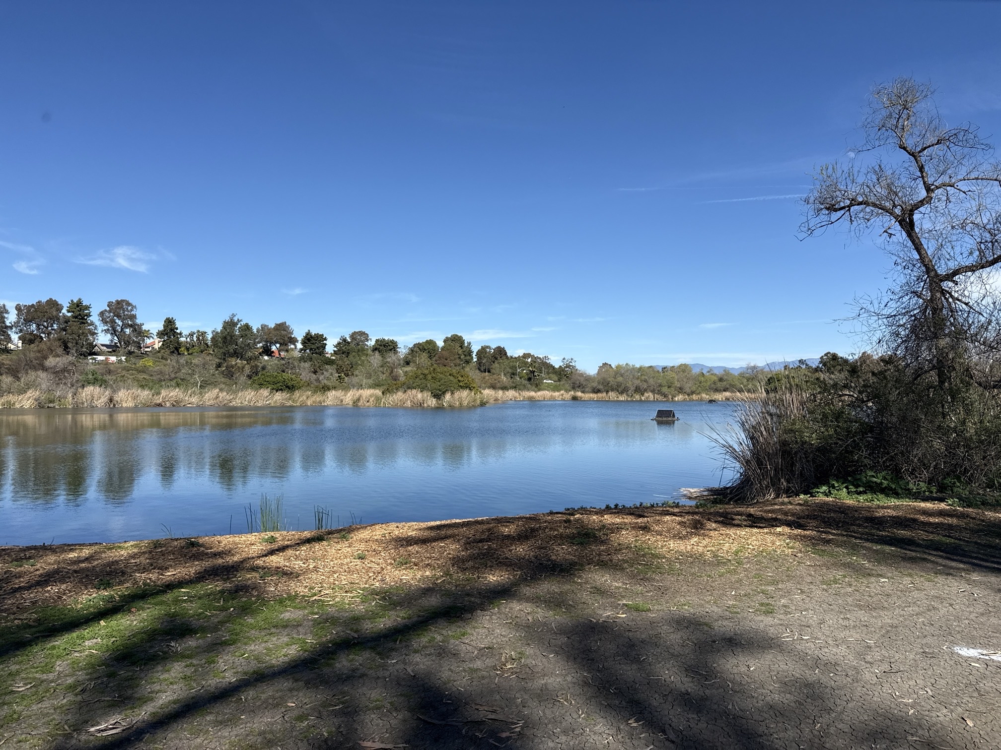 Guajome Regional Park Trail