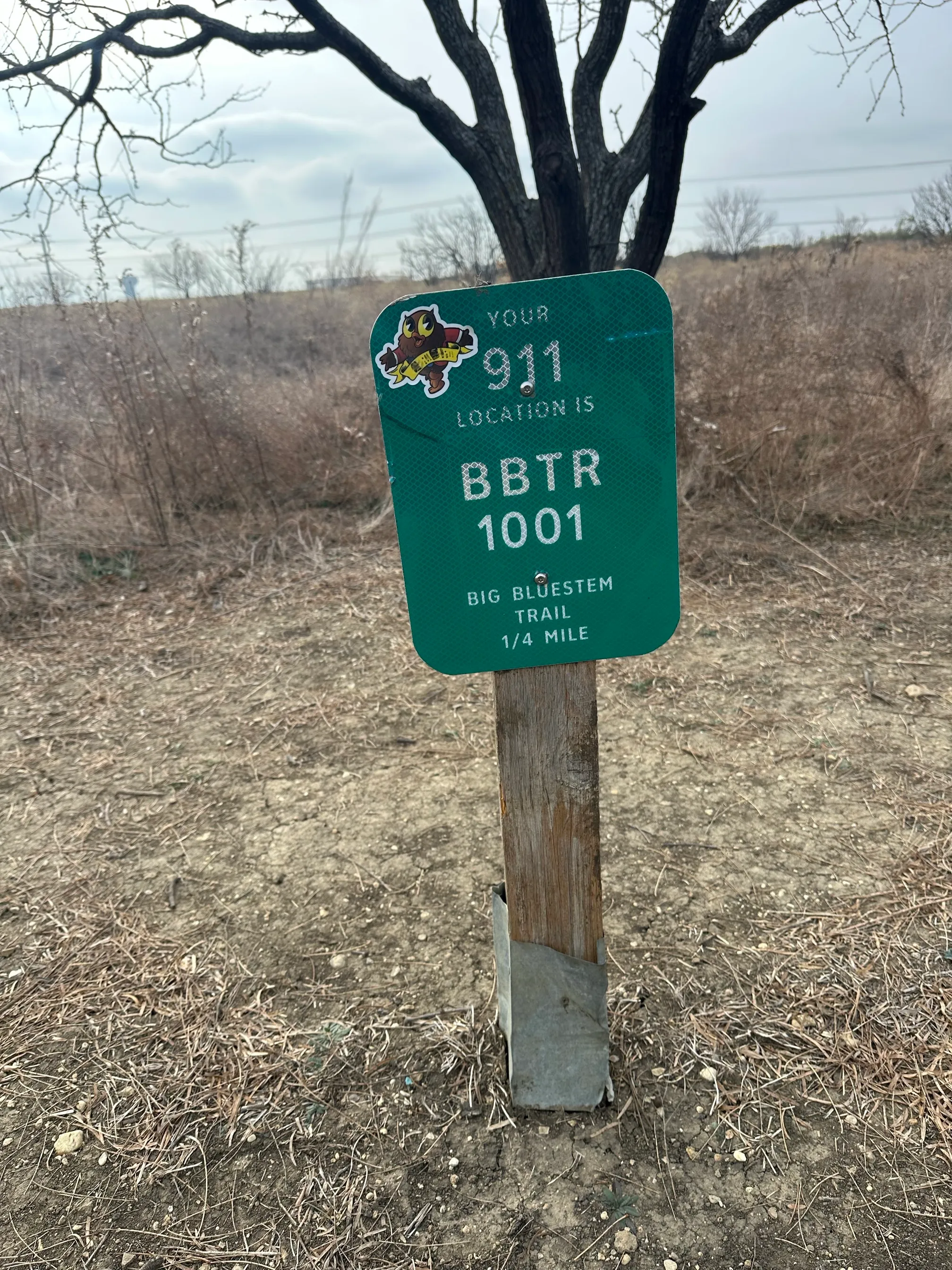 Big Bluestem Trail