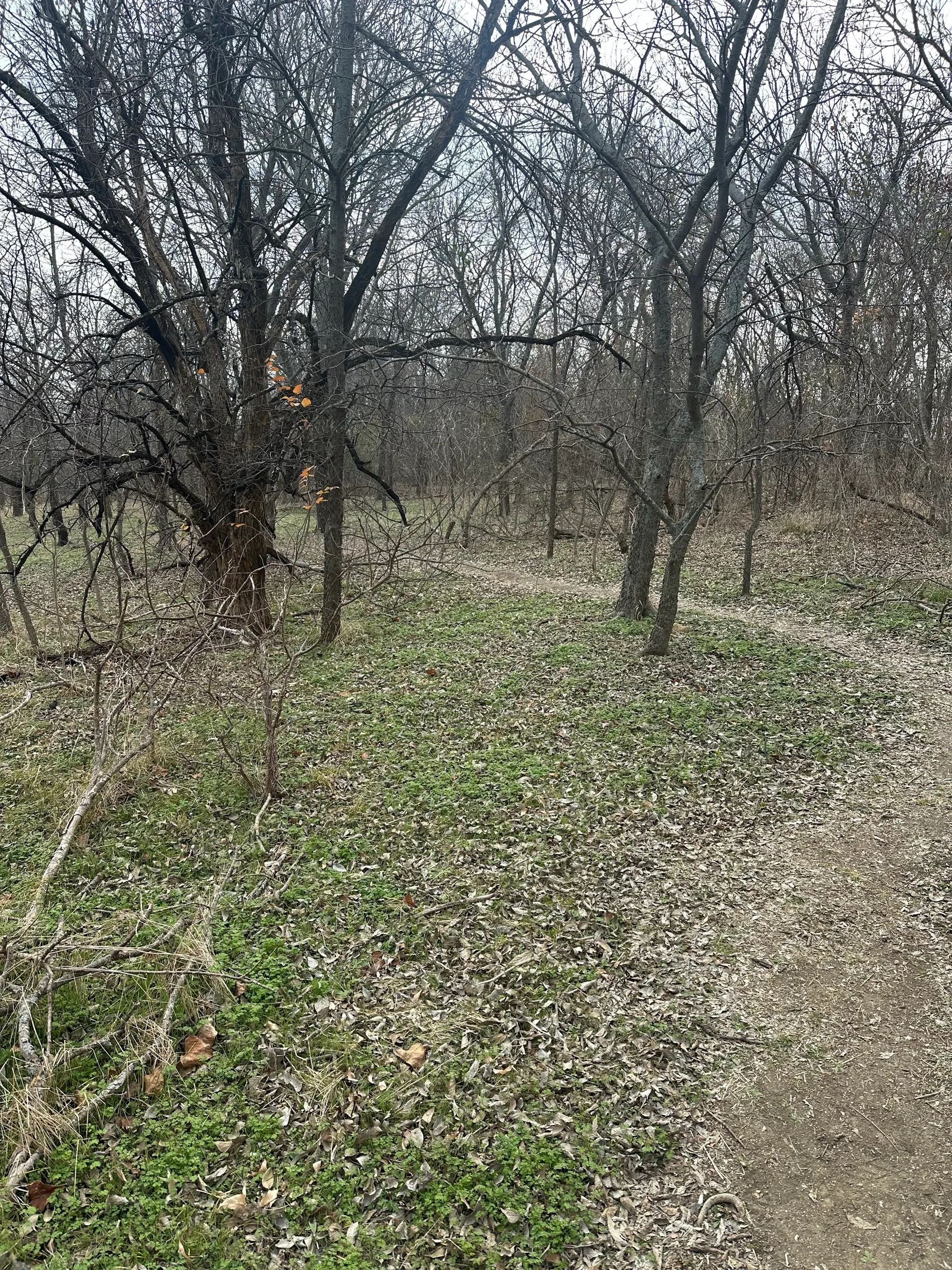 Big Bluestem Trail