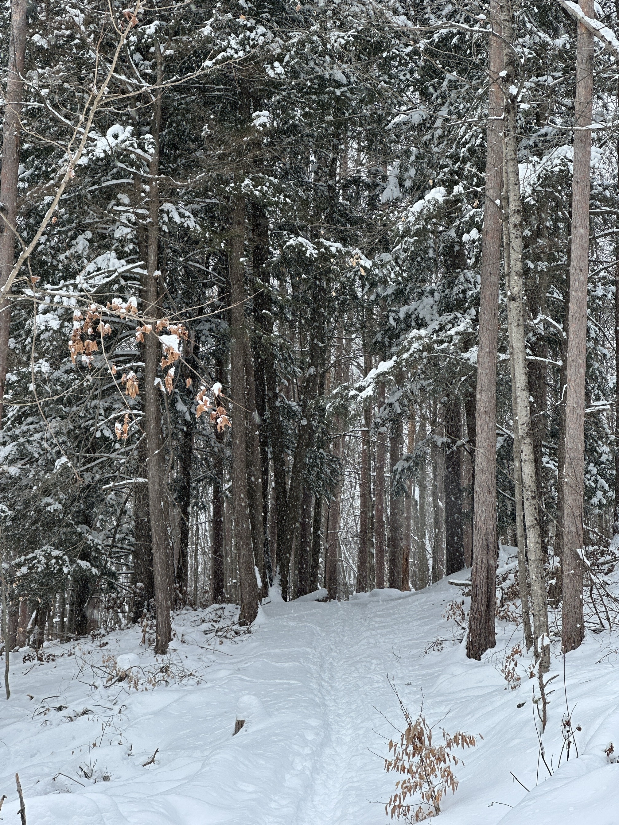 Stone Tower via State House Trail
