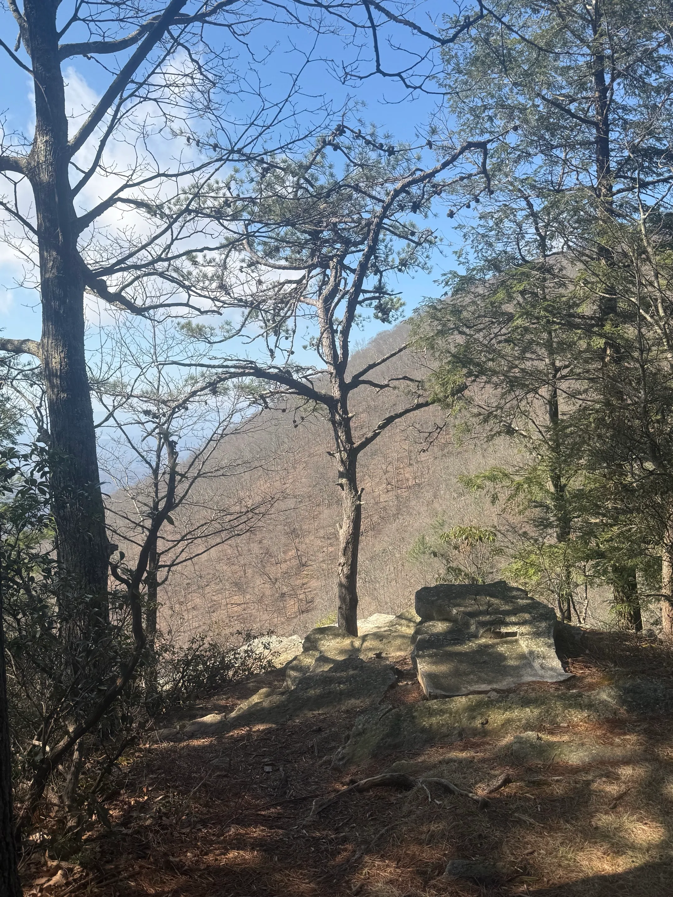 Hike Barney's Wall