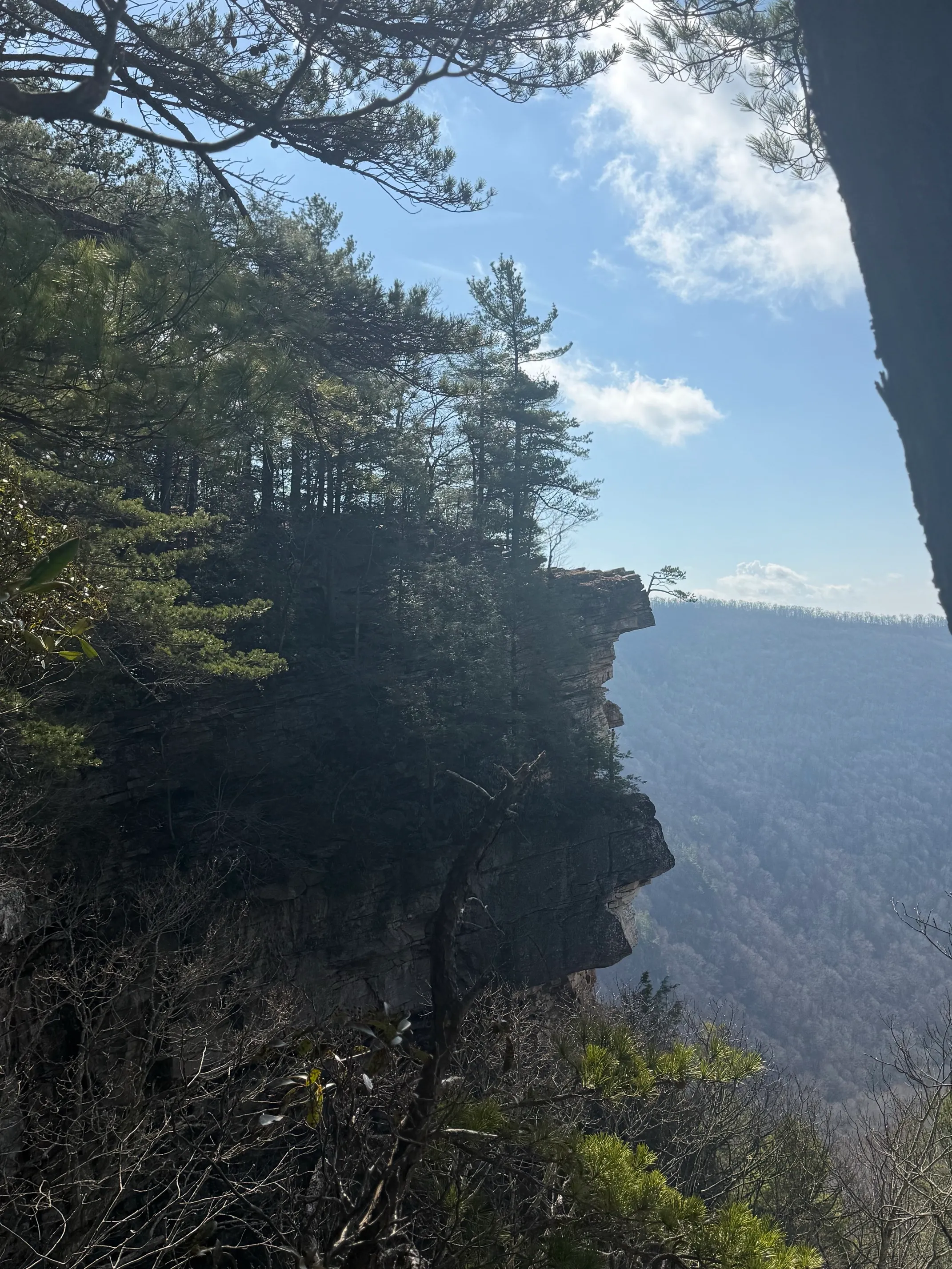 Hike Barney's Wall