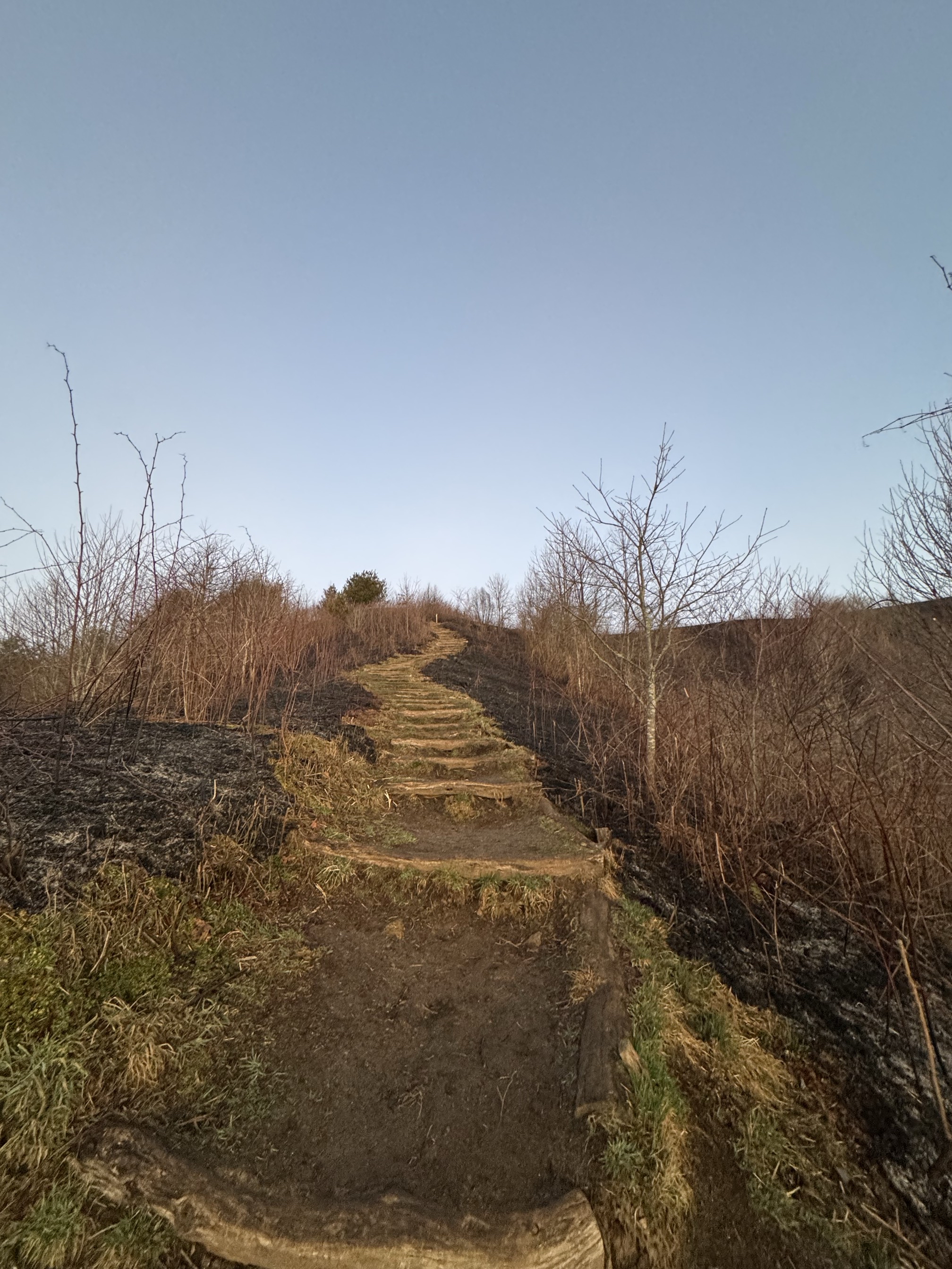 Max Patch Mountain