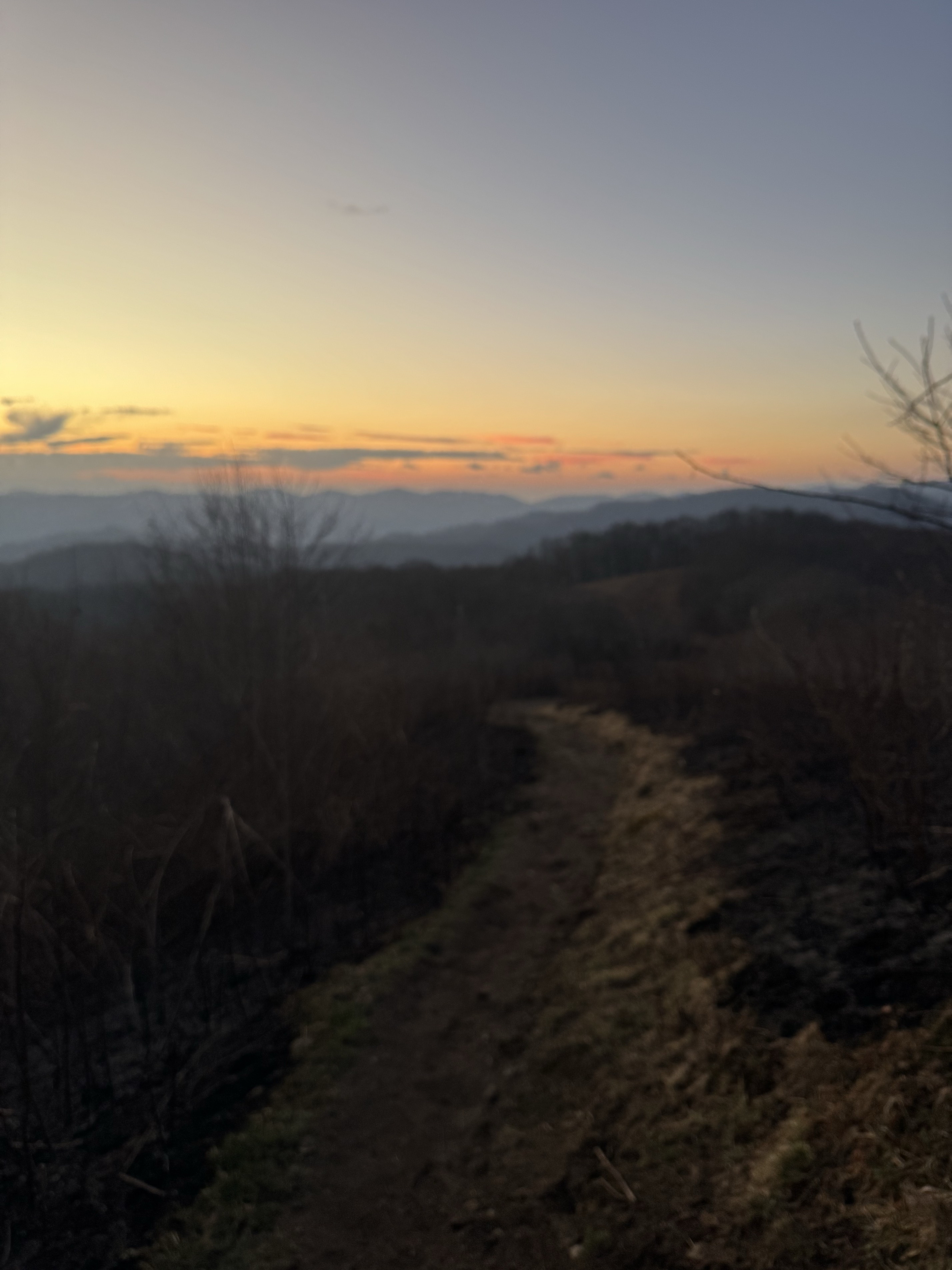 Max Patch Mountain