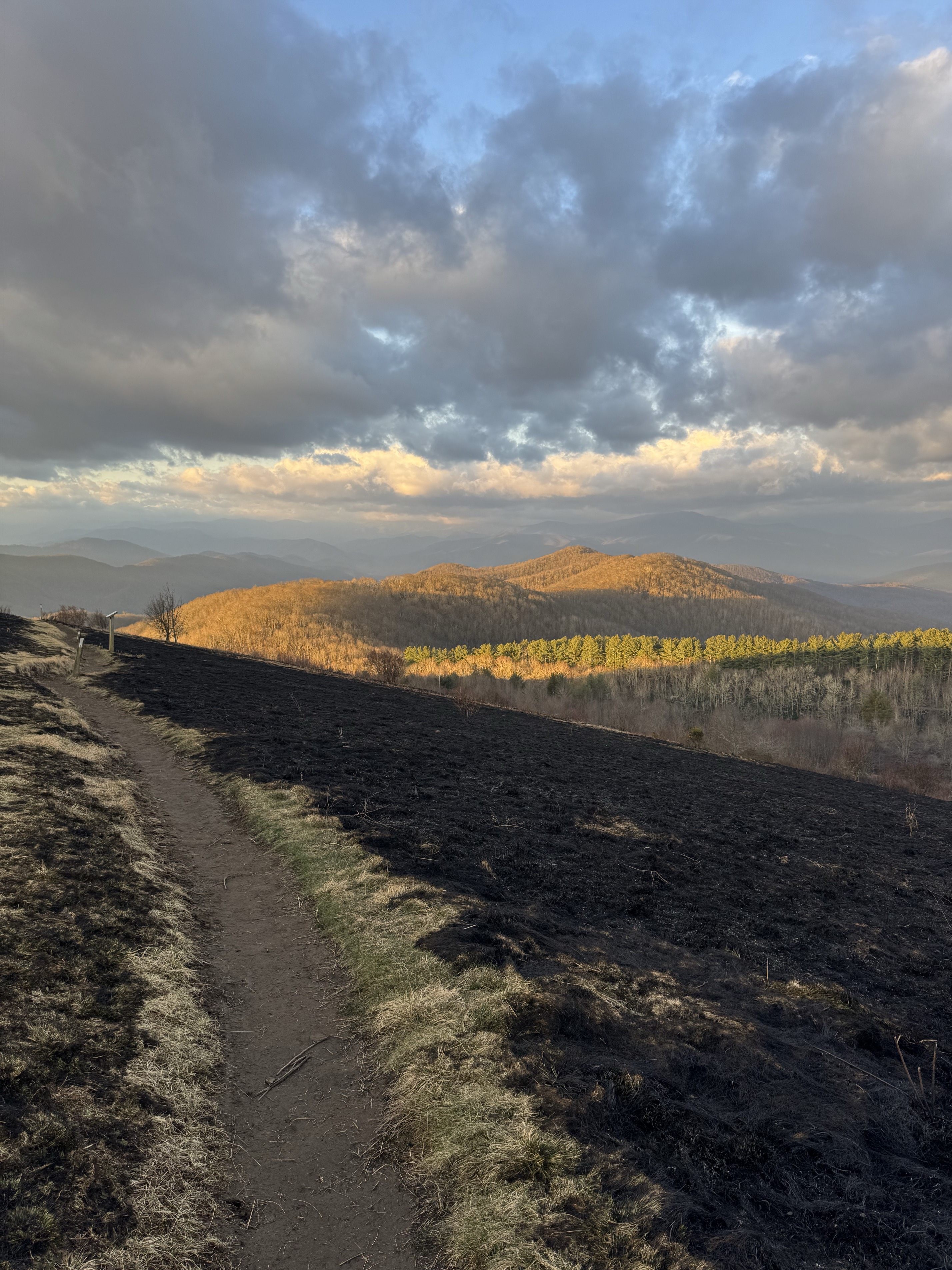 Max Patch Mountain