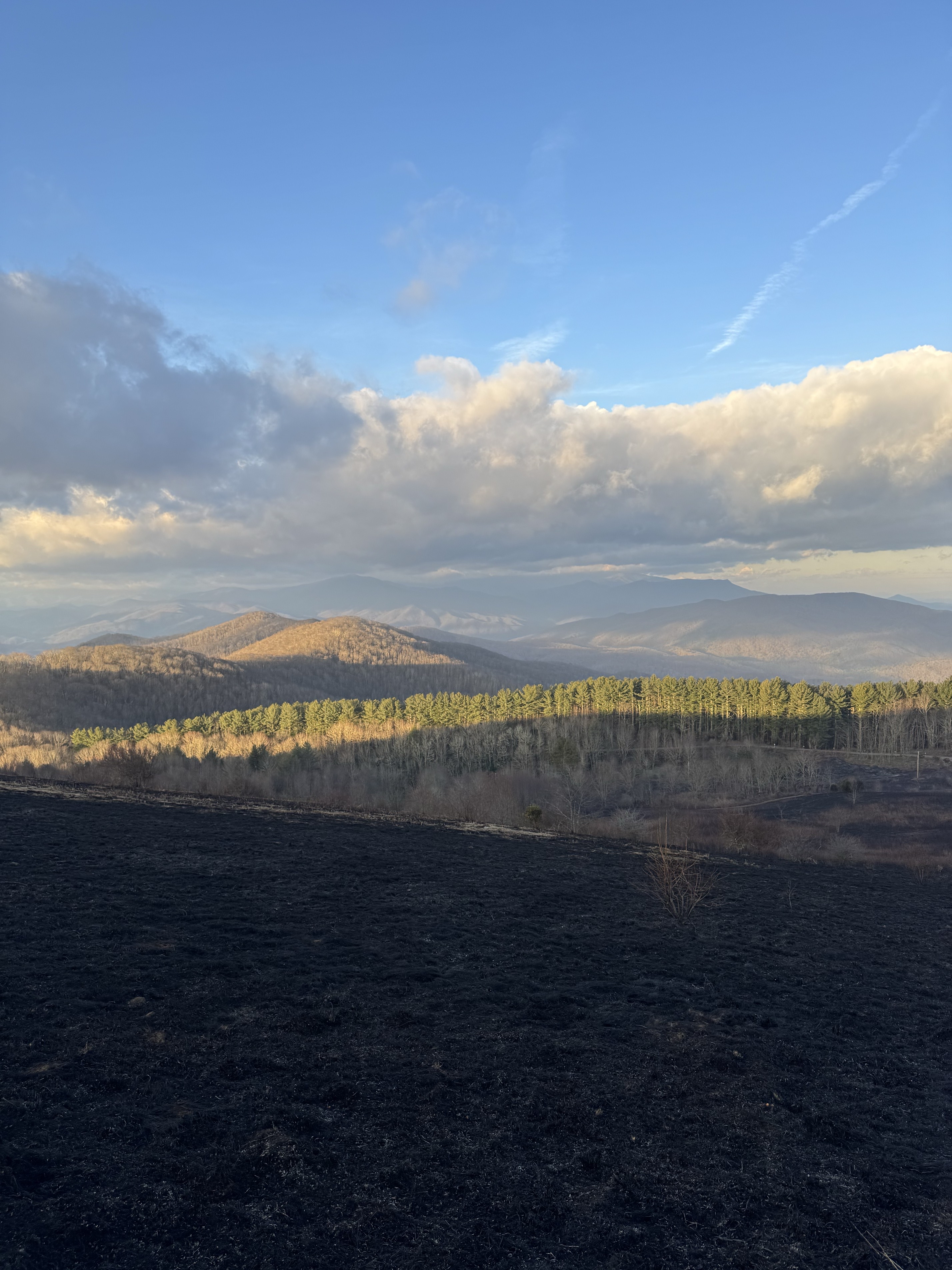 Max Patch Mountain